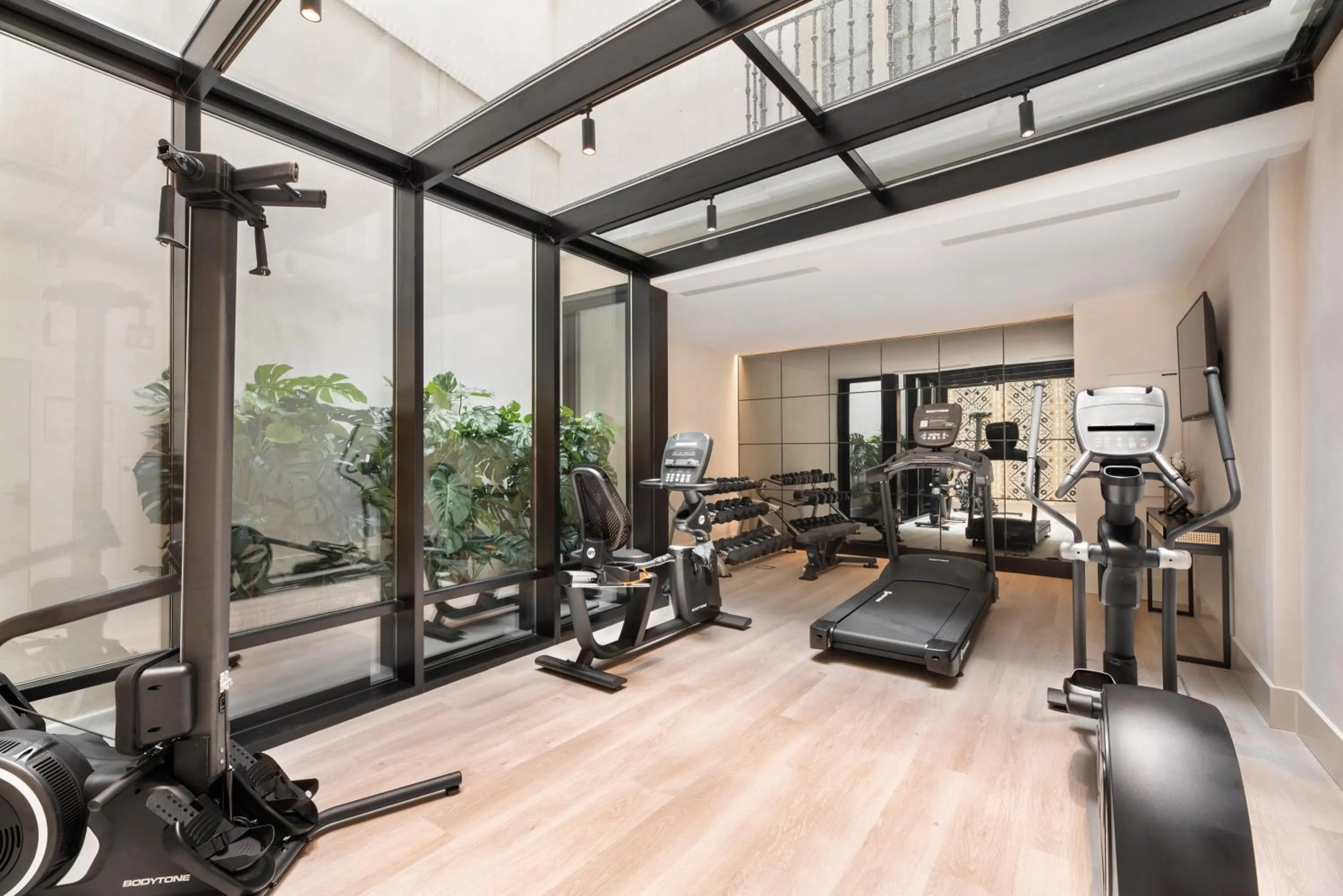 Fitness centre/facilities in Áurea Casa Palacio Sagasta by Eurostars Hotel Company