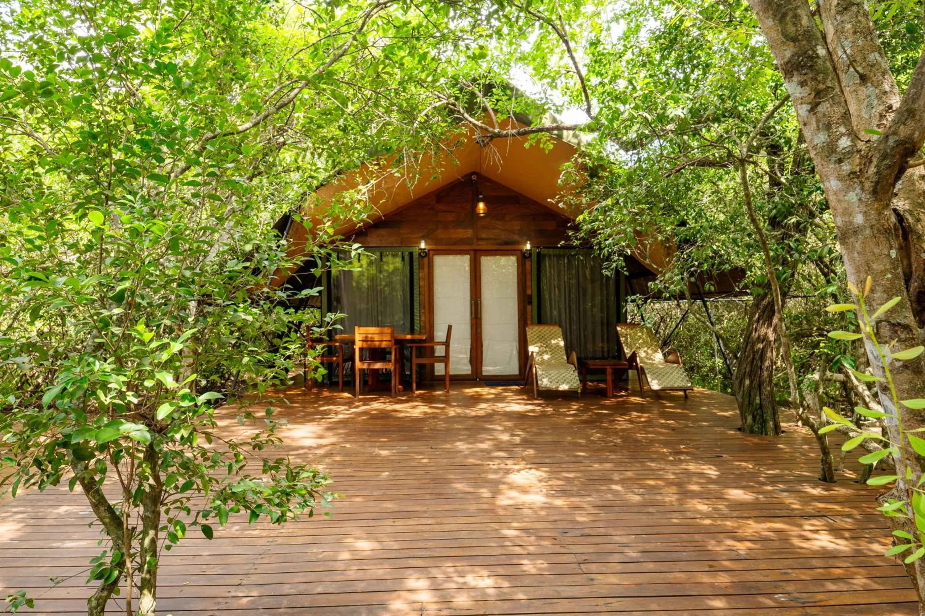 Leopard Reach Yala by Seven Angels