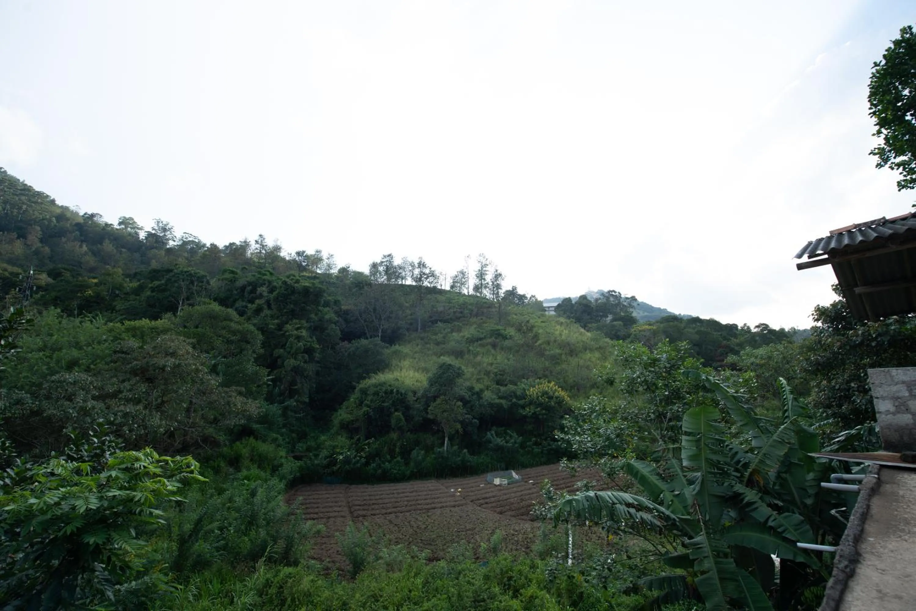 Natural landscape in Ayubo Ella - Bed & Breakfast