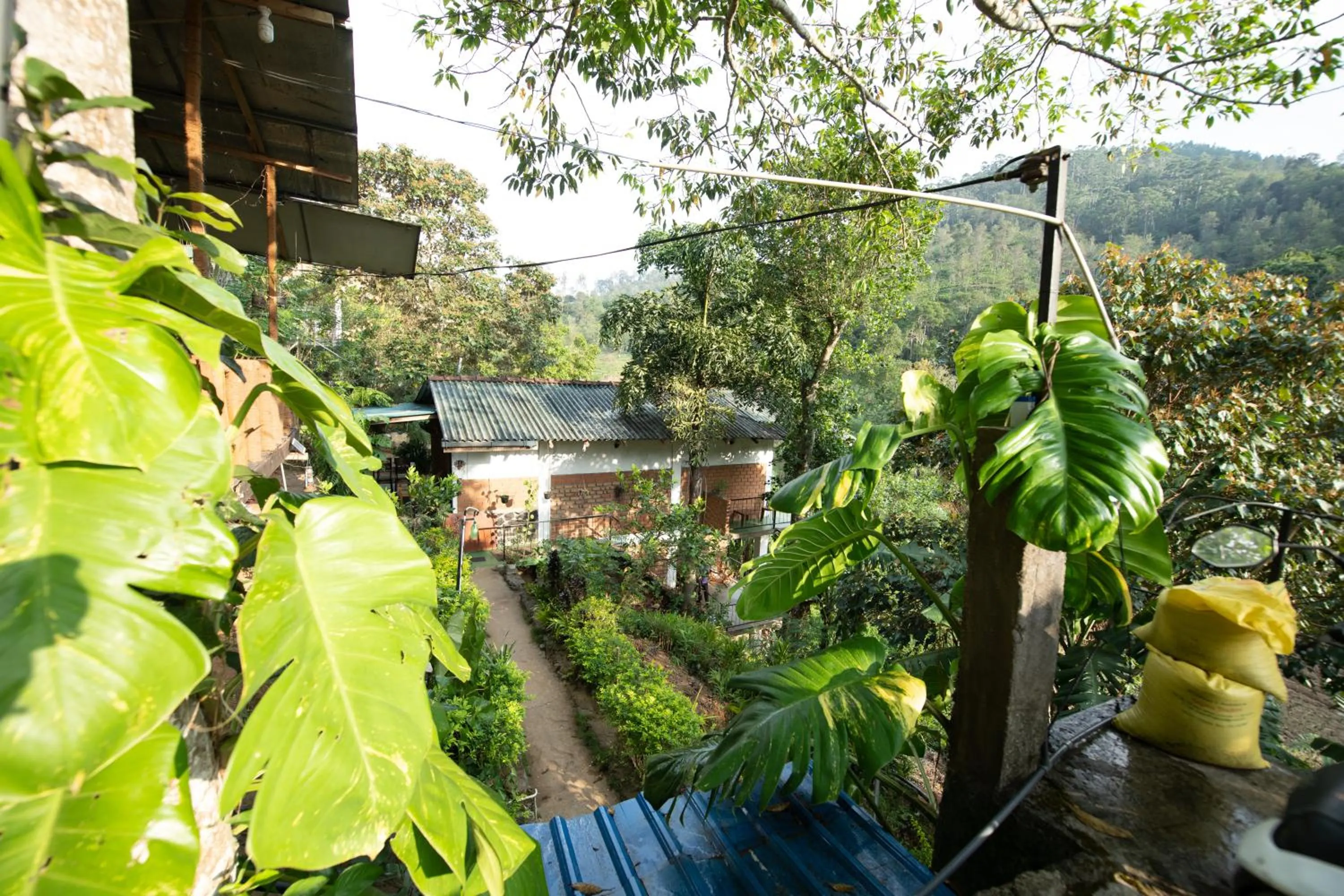 Natural landscape in Ayubo Ella - Bed & Breakfast