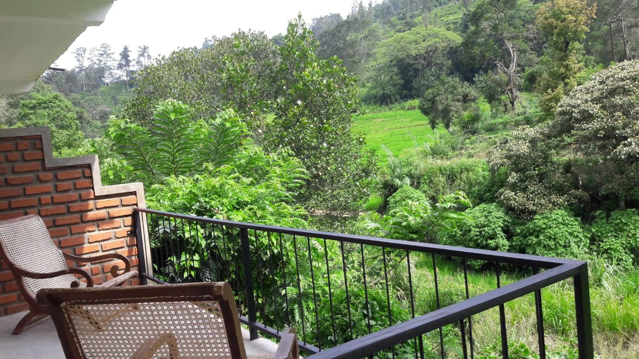 View (from property/room) in Ayubo Ella - Bed & Breakfast