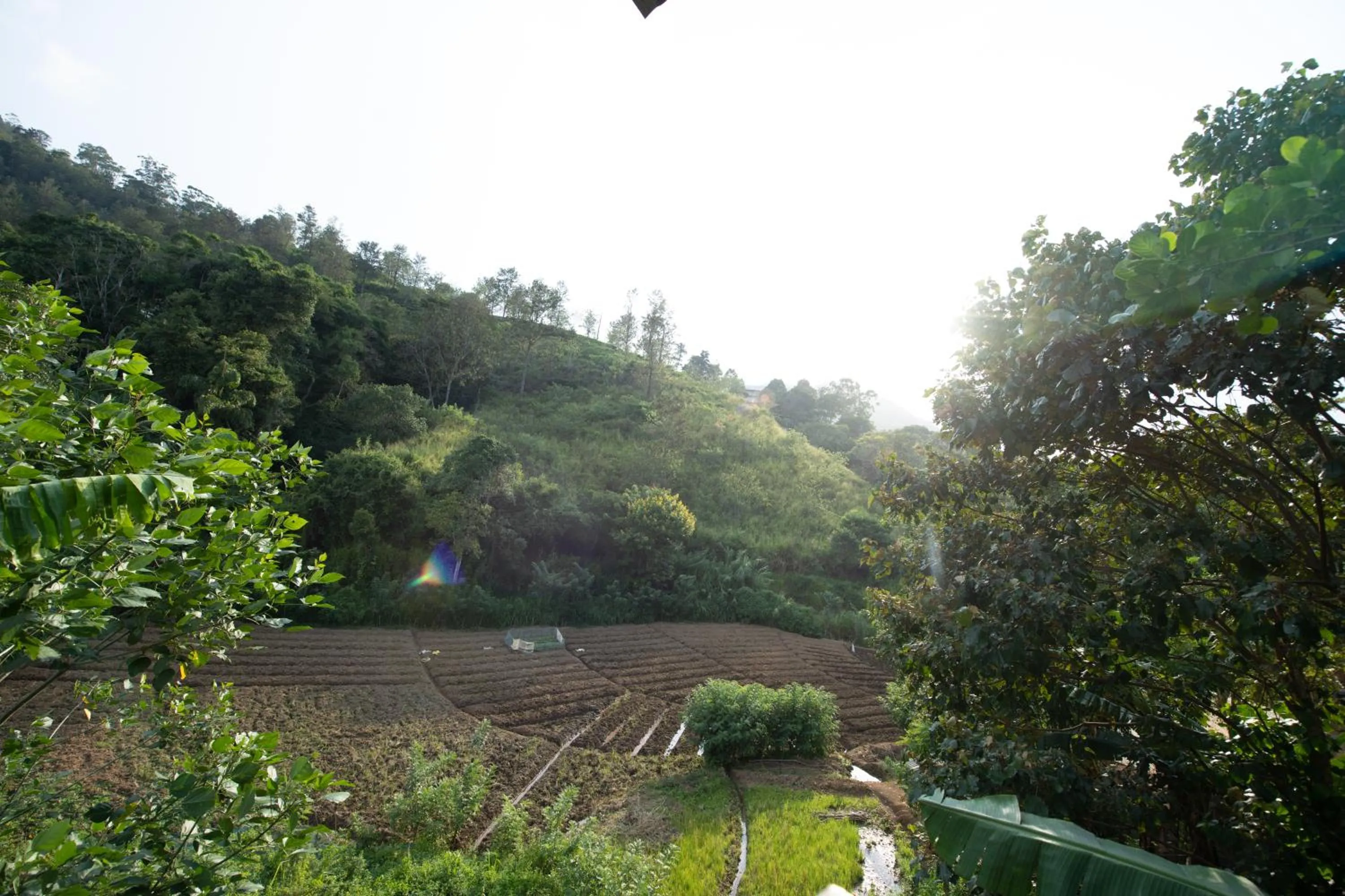 Ayubo Ella - Bed & Breakfast