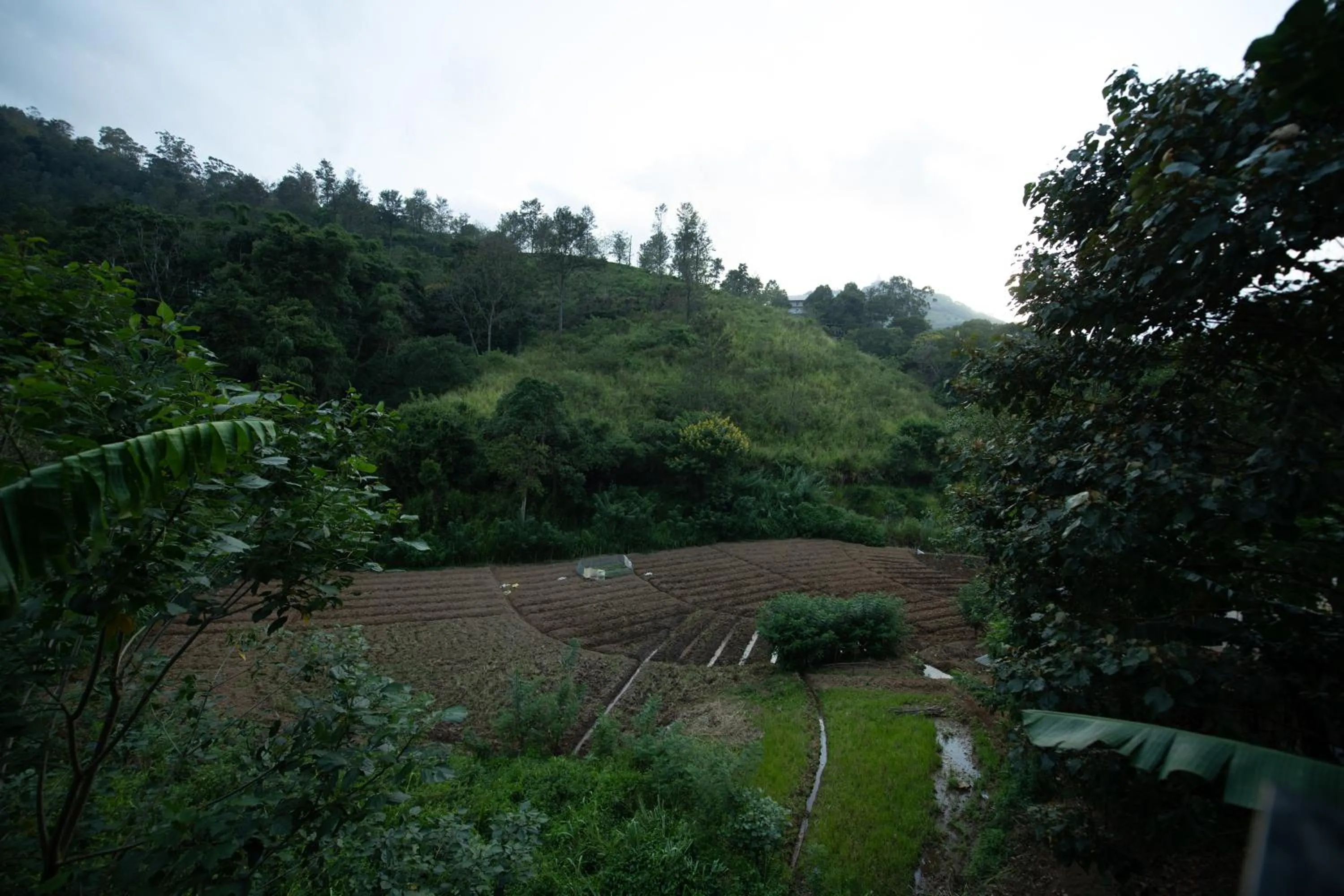 Ayubo Ella - Bed & Breakfast