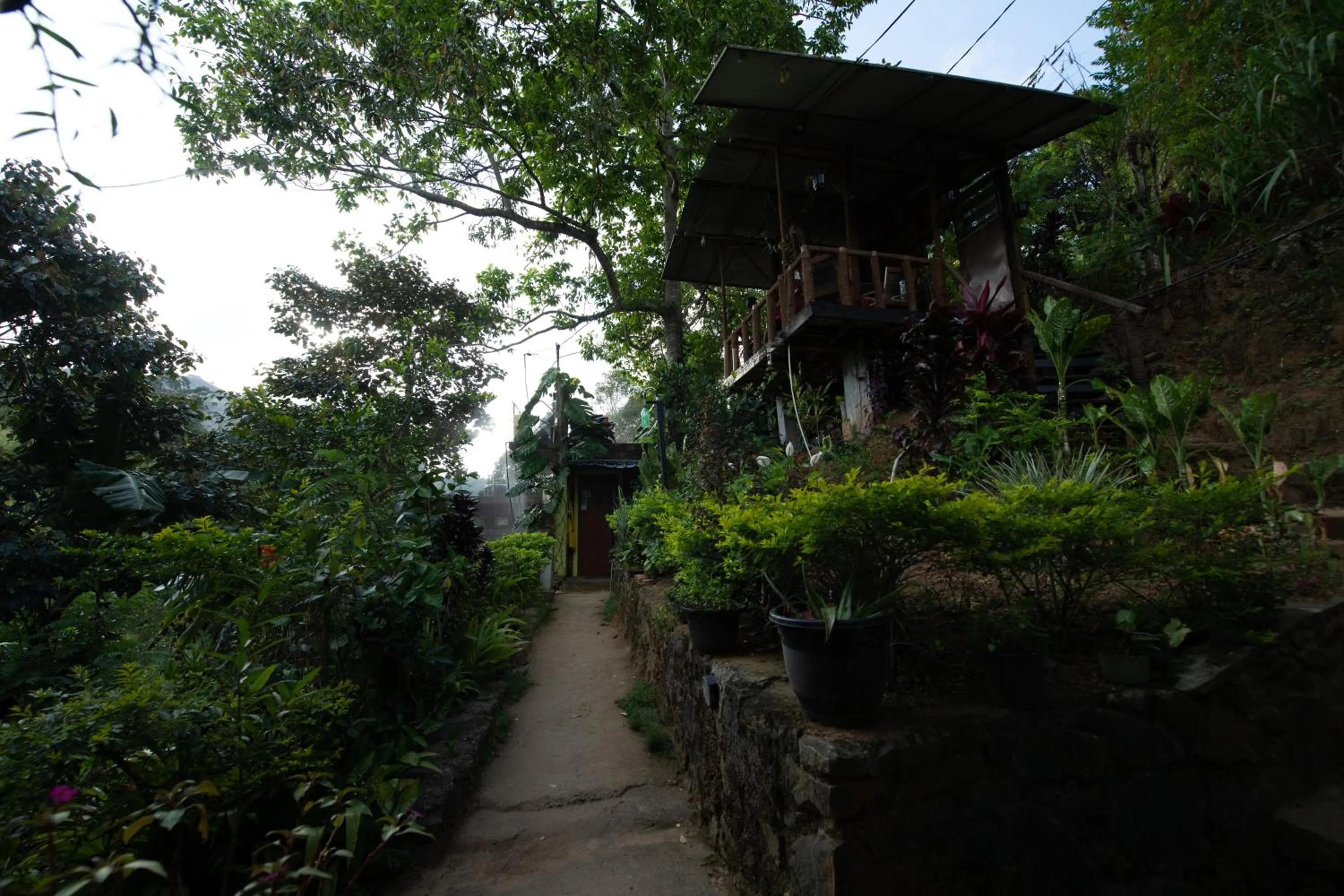 Ayubo Ella - Bed & Breakfast