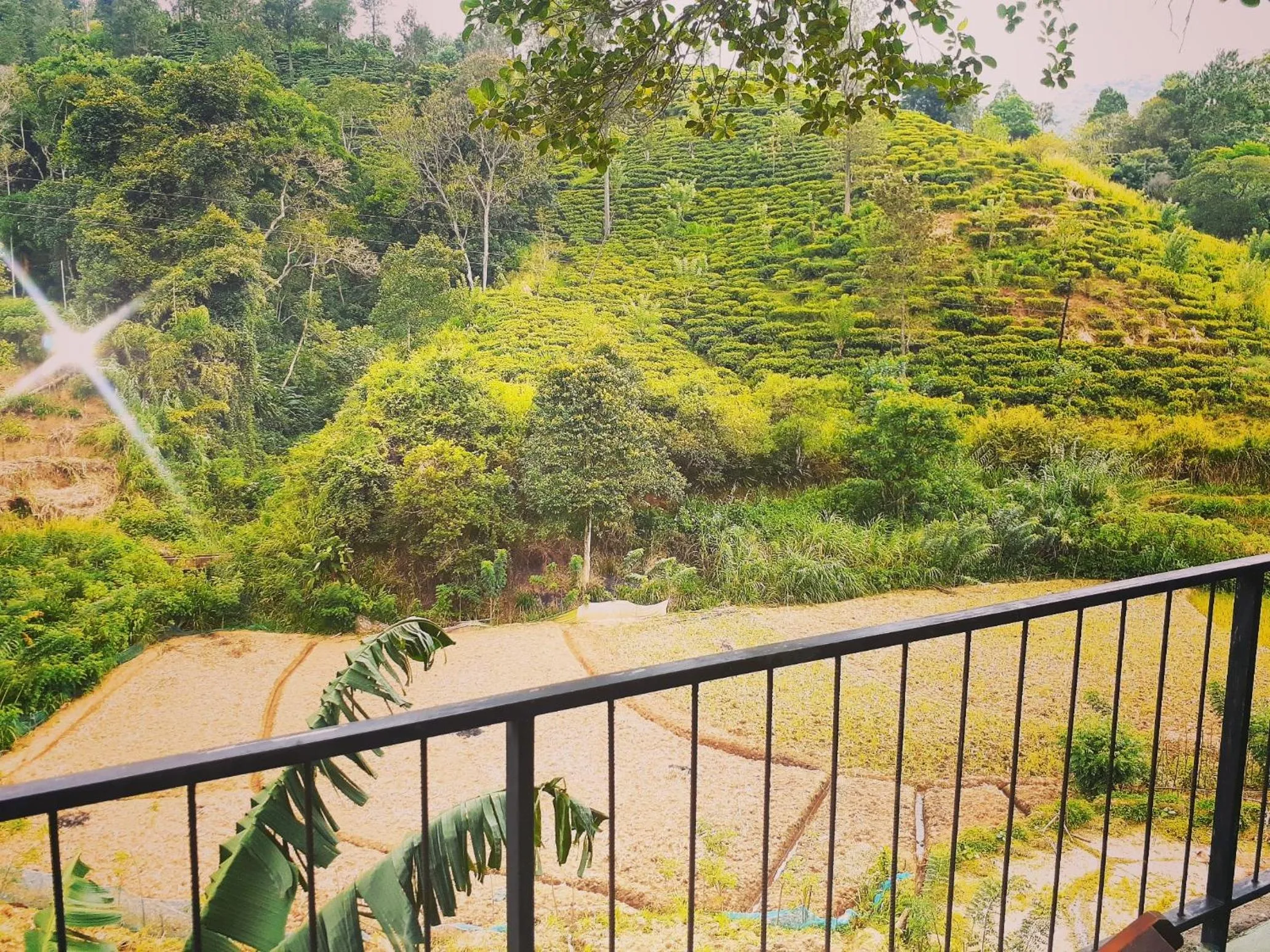 Ayubo Ella - Bed & Breakfast