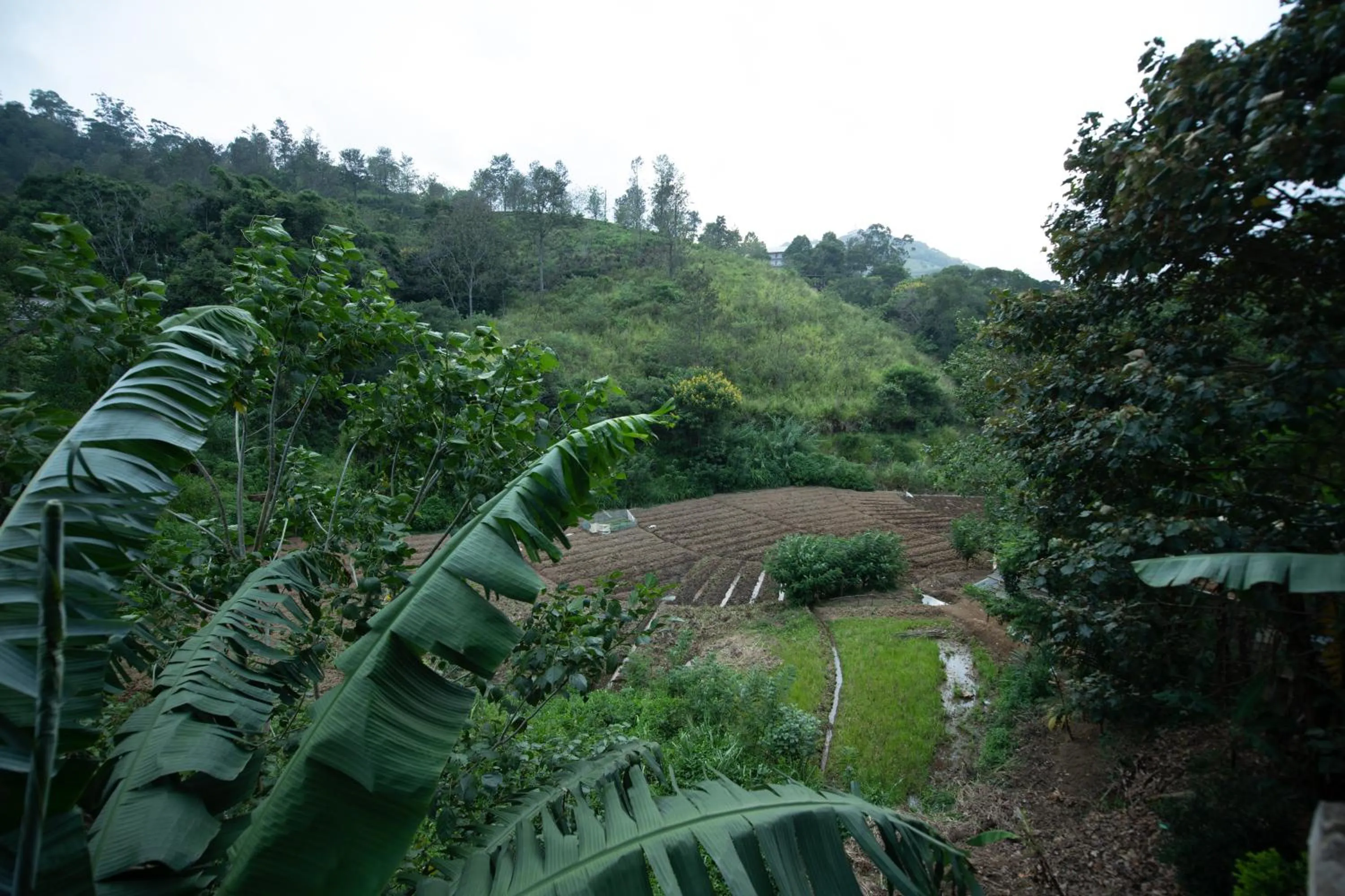 Ayubo Ella - Bed & Breakfast