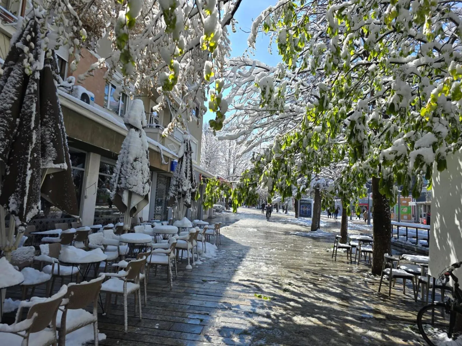 Neighbourhood in Vila Sonnet