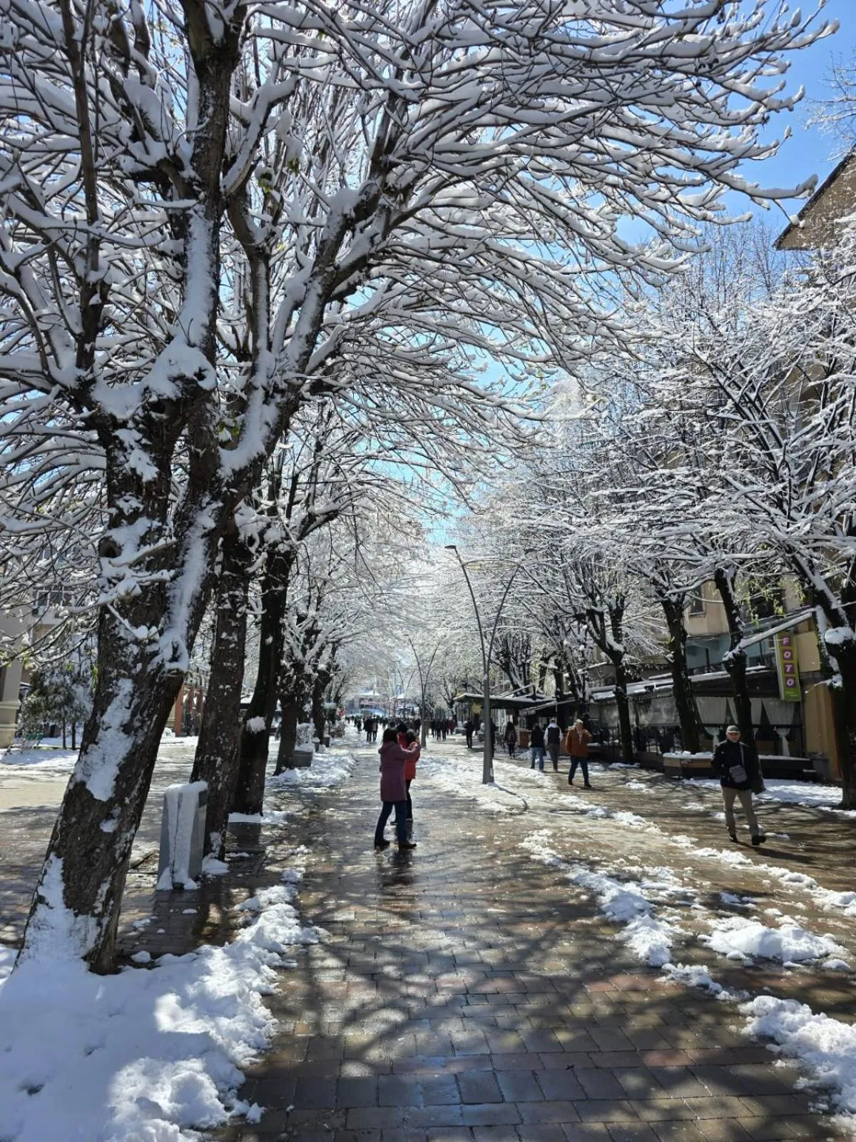 Neighbourhood in Vila Sonnet