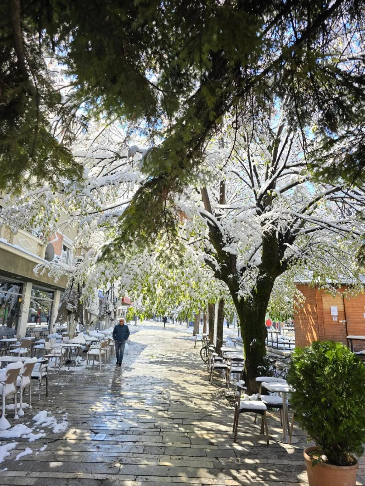 Neighbourhood in Vila Sonnet