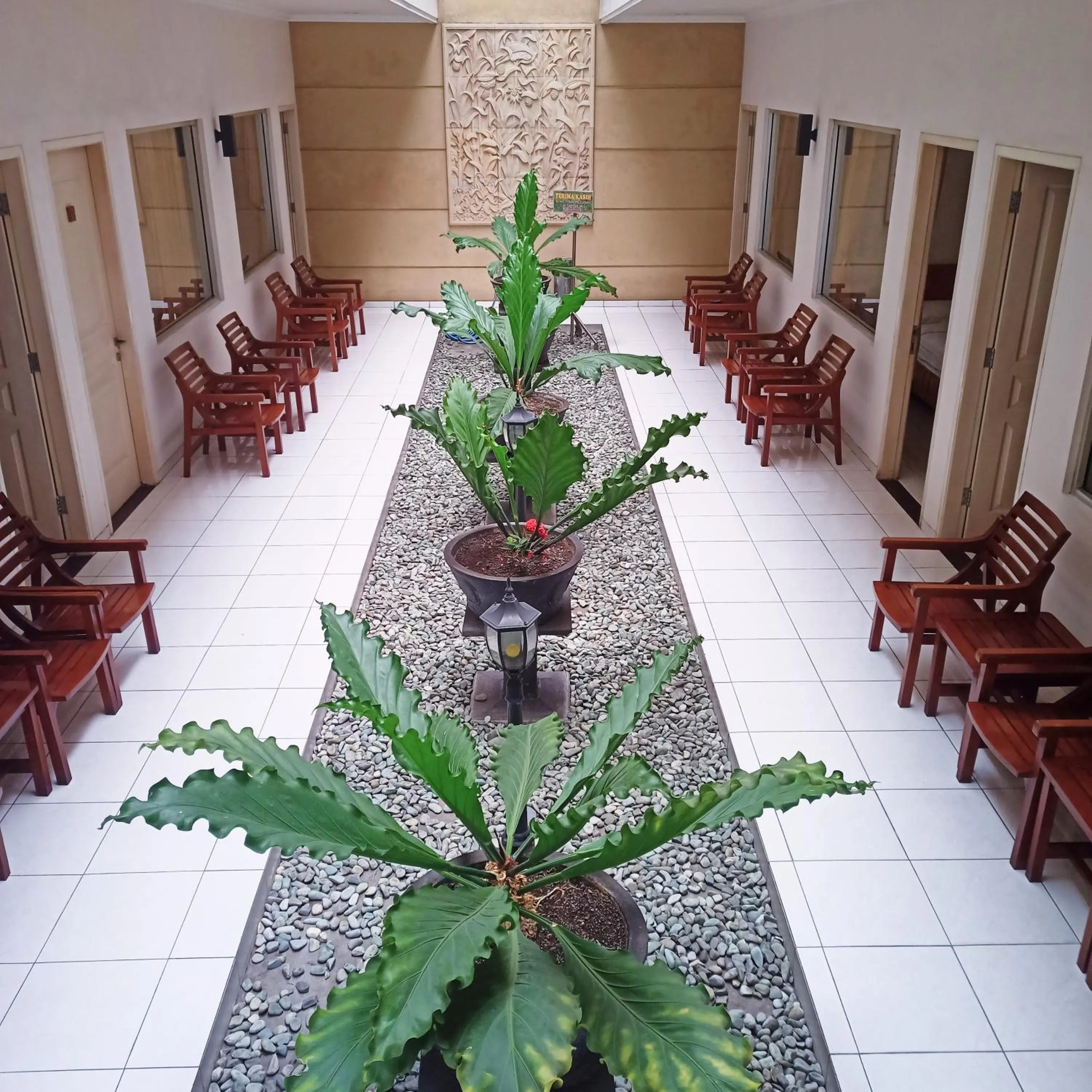 Garden in Hotel Flamboyan