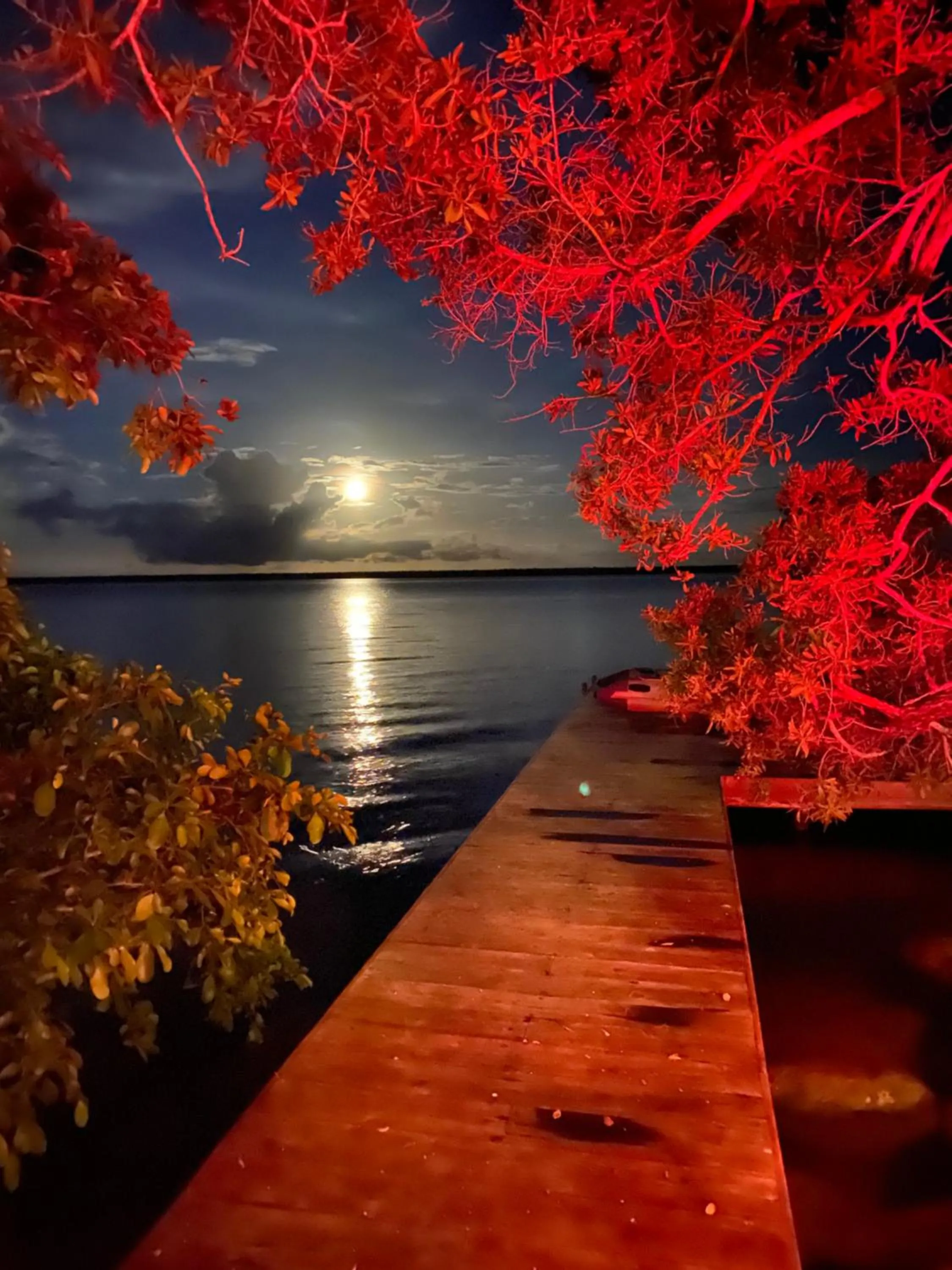 Xoot Kaana Villa Vista Laguna