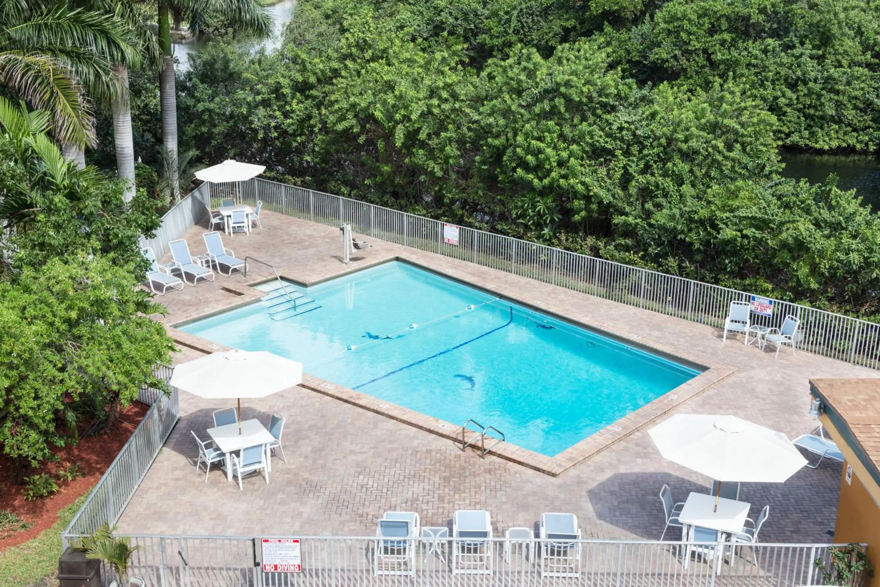 Swimming pool in Days Inn by Wyndham Fort Lauderdale-Oakland Park Airport N