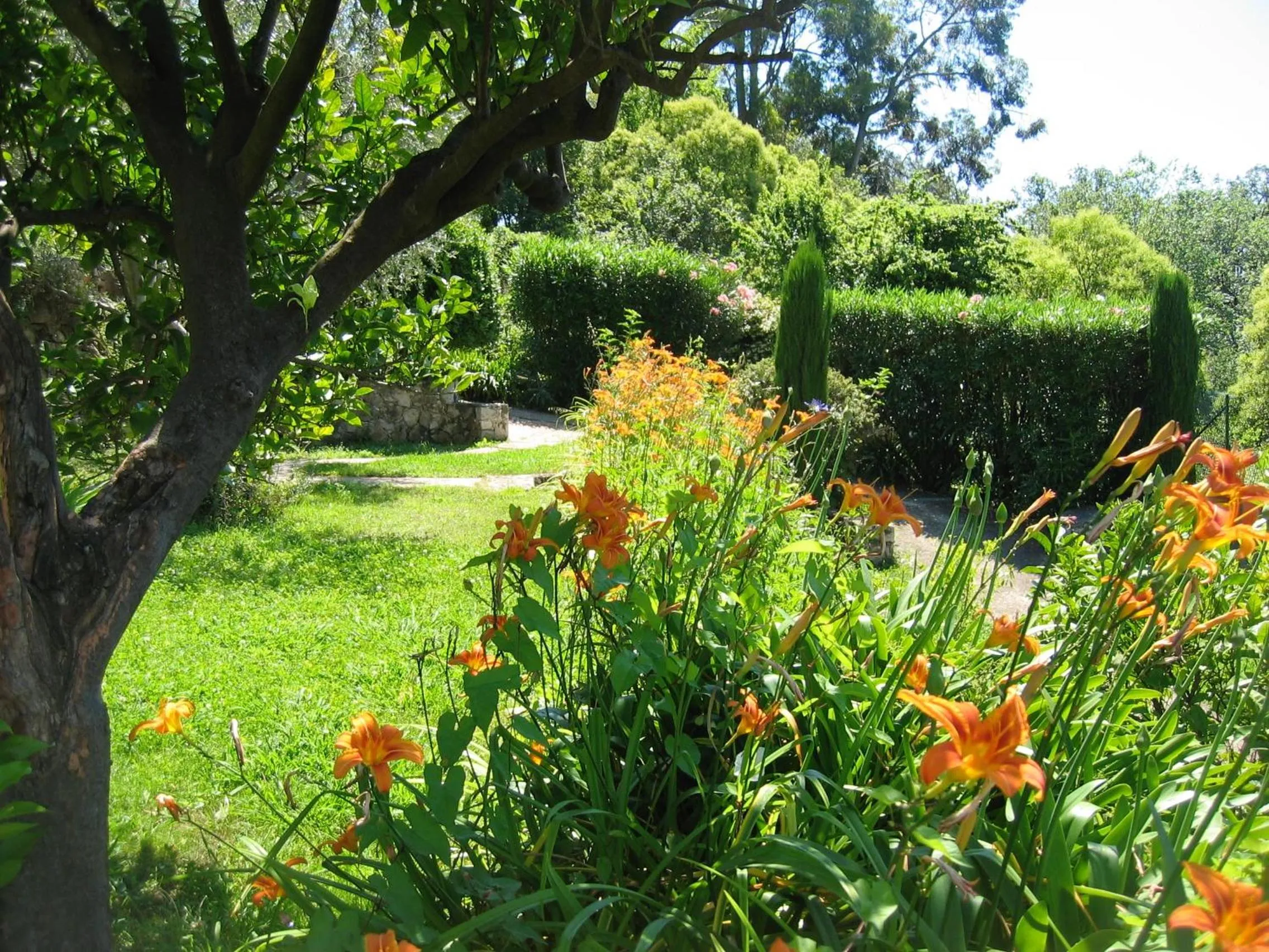 Garden in Mas de Vence - Hotel-Restaurant