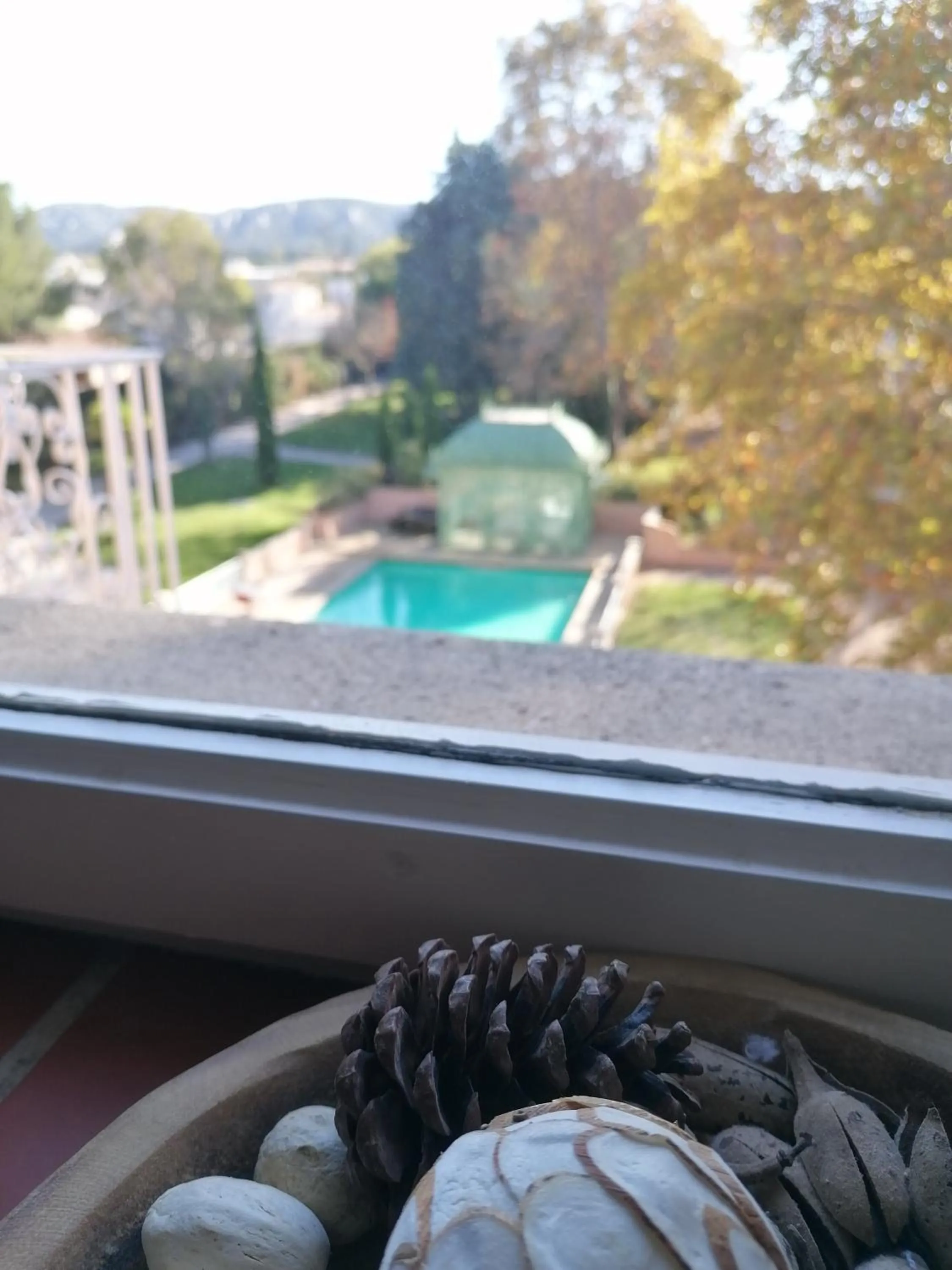 Pool view in DOMAINE DE LA NERTHE- HOTEL PROVENCE MEDITERRANEE