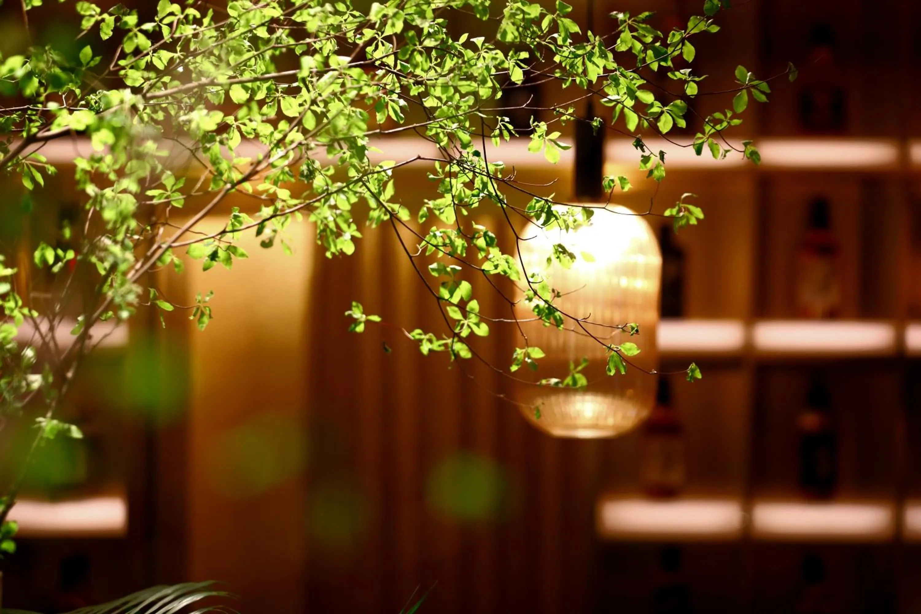 Lounge or bar in HOTEL ANDI Townscape Wuhan