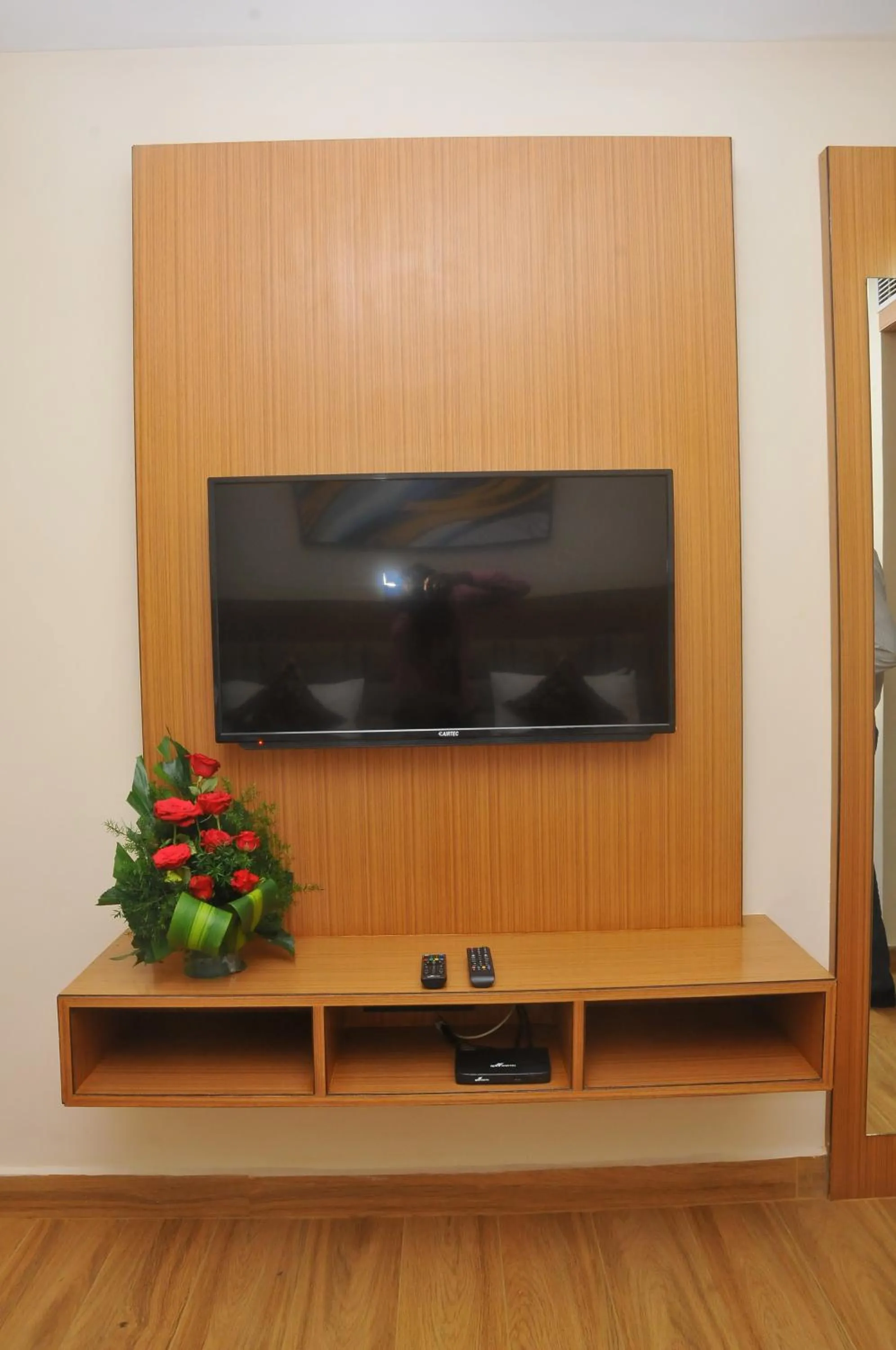 TV and multimedia in S R Continental