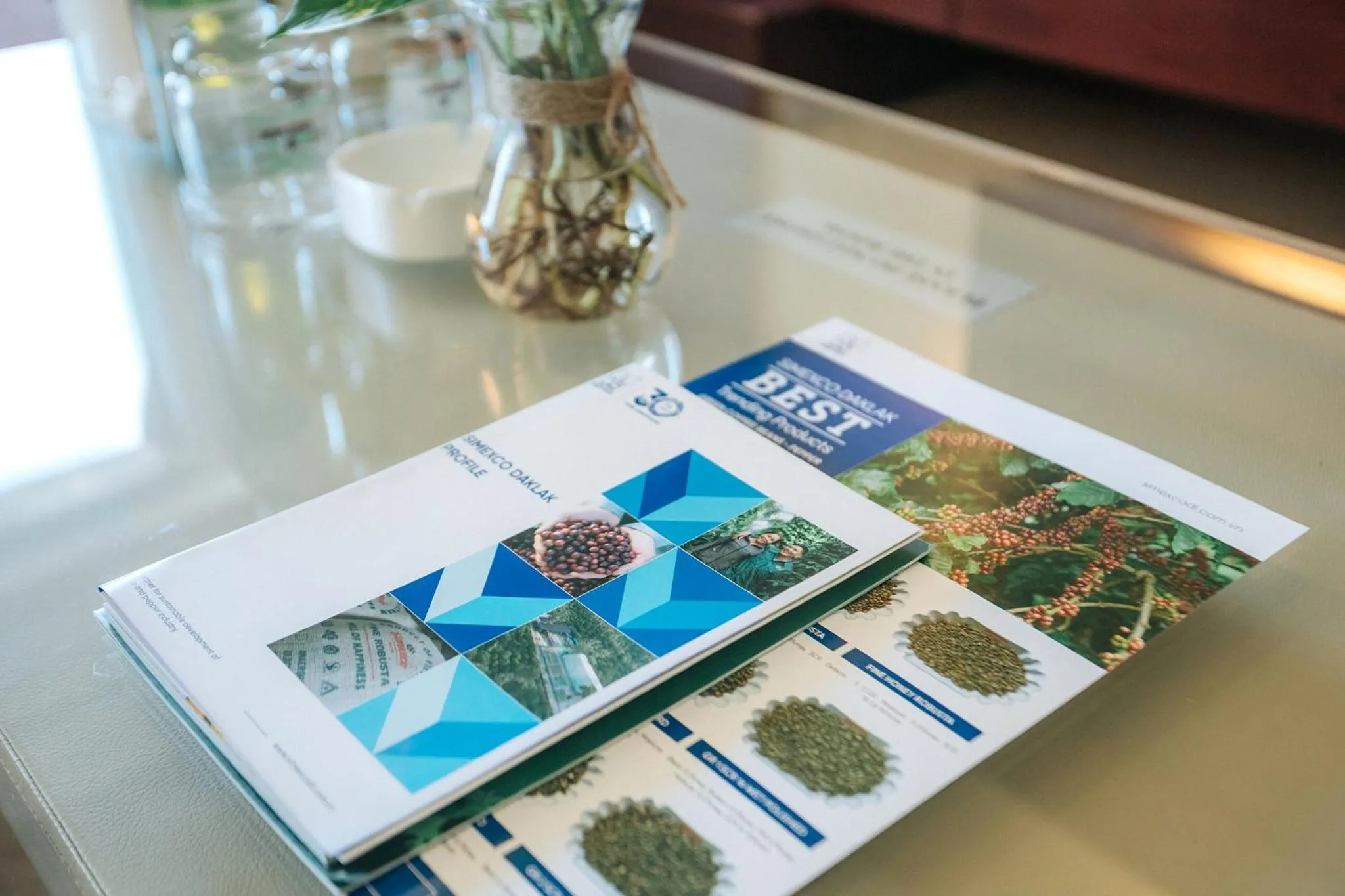 Decorative detail in Biet Dien Hotel