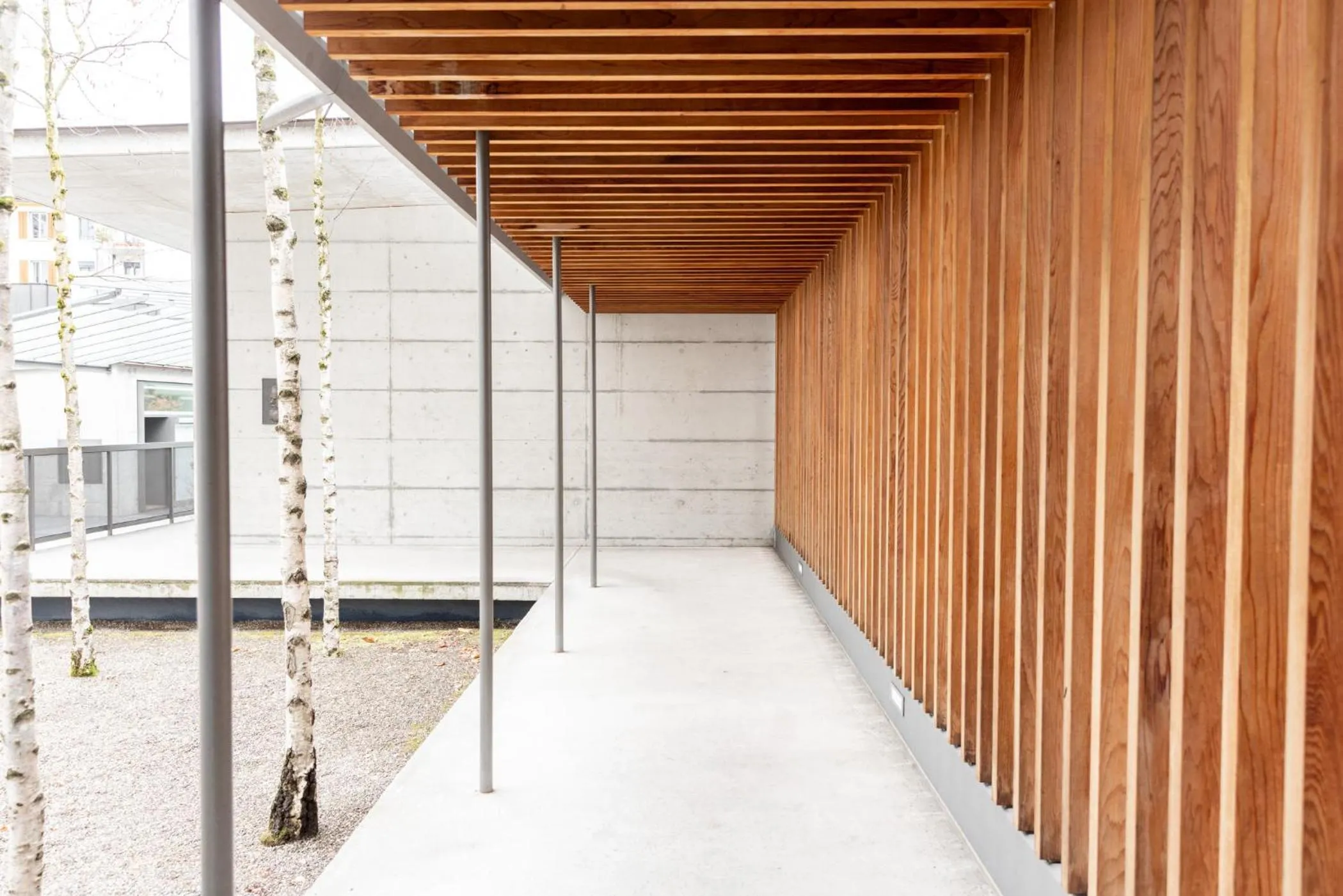 Garden in Greulich Design & Boutique Hotel