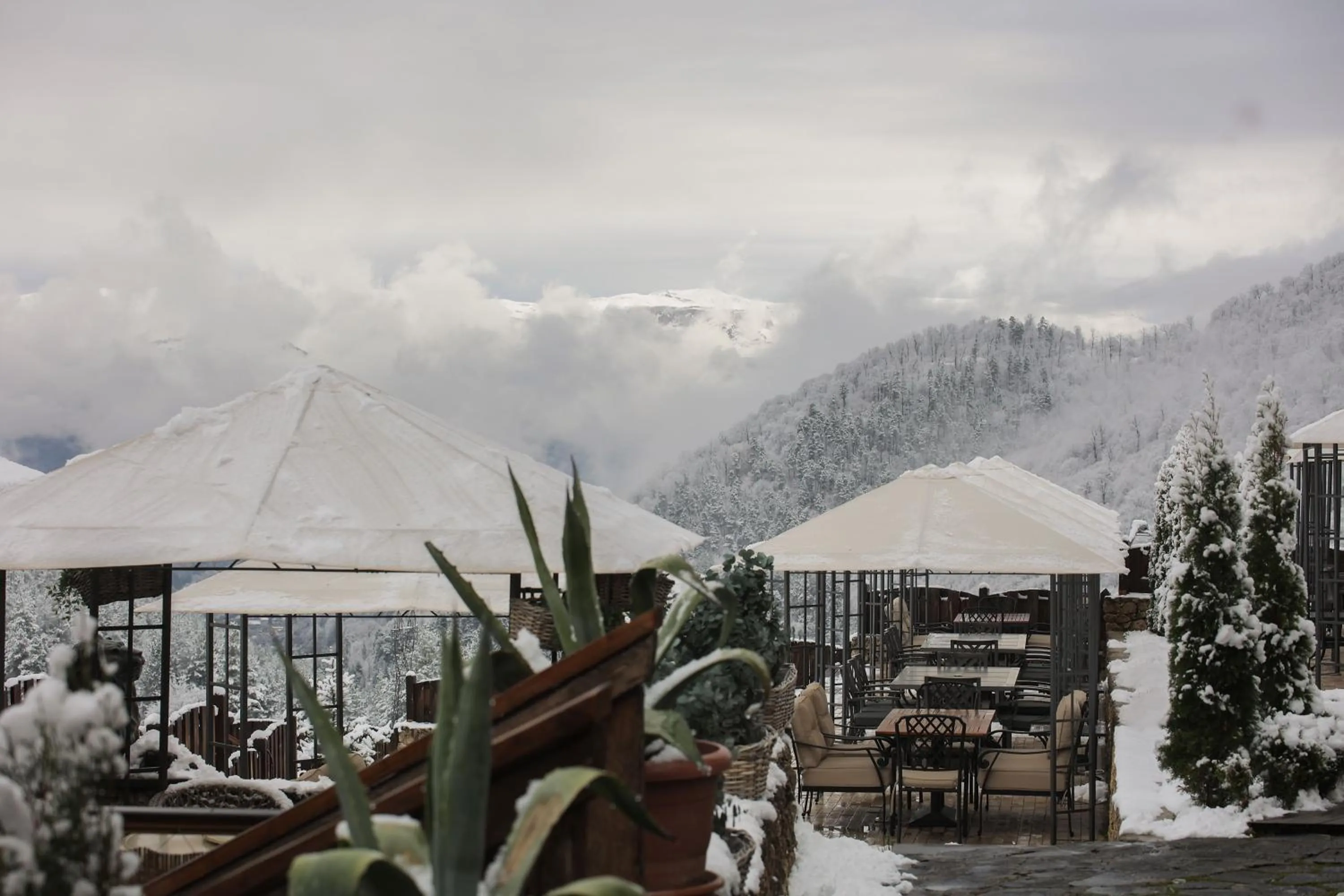 Alpine Castle Hotel