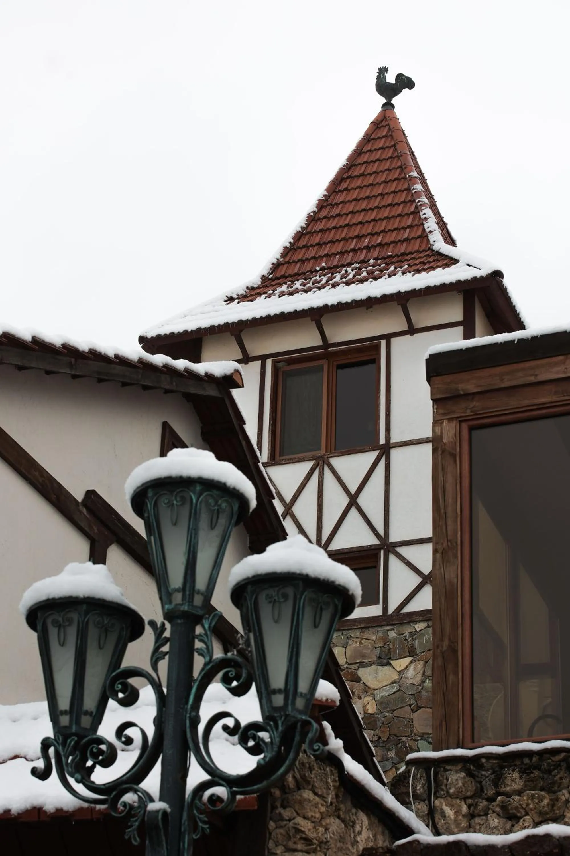 Alpine Castle Hotel