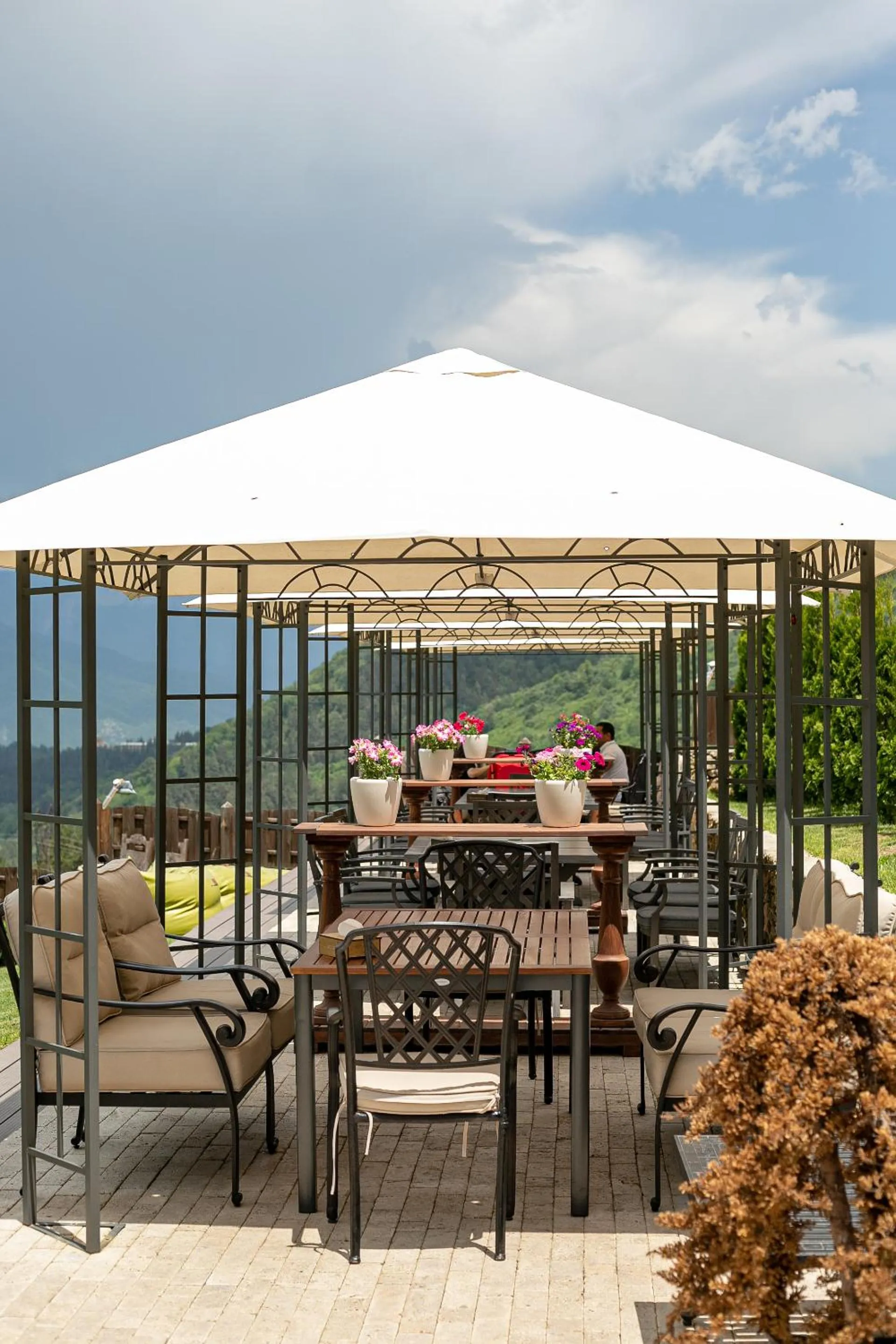 Alpine Castle Hotel