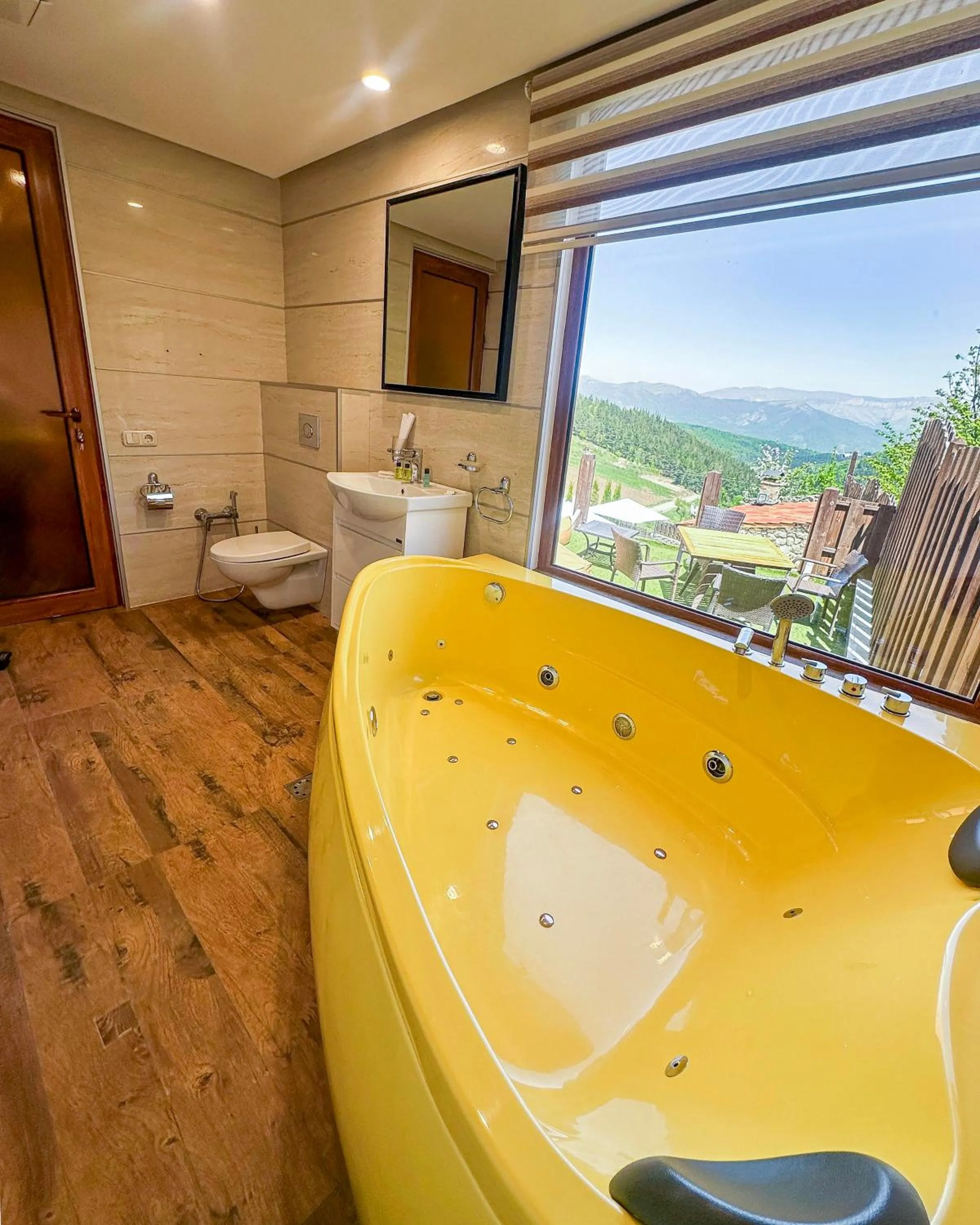 Alpine Castle Hotel