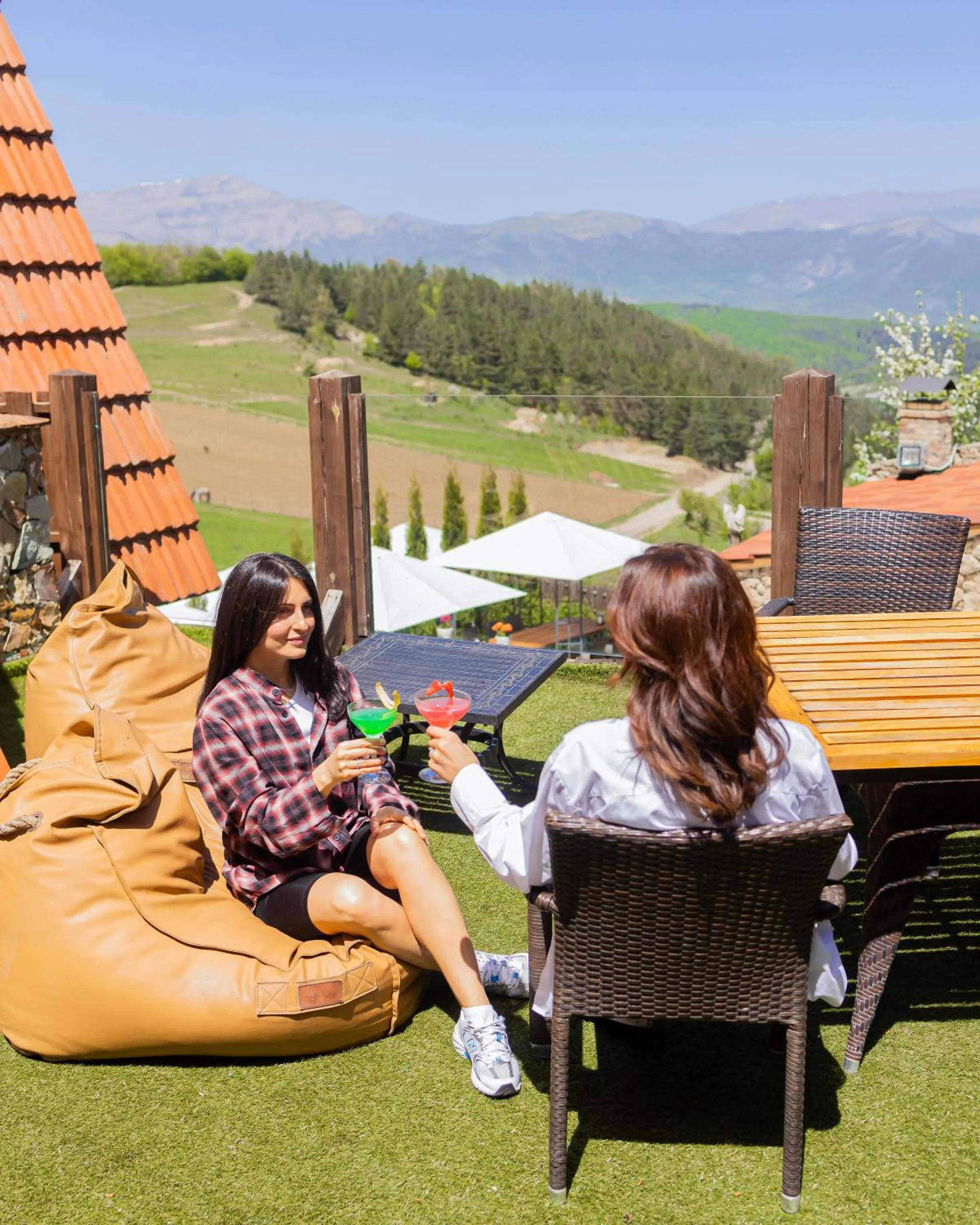 Alpine Castle Hotel