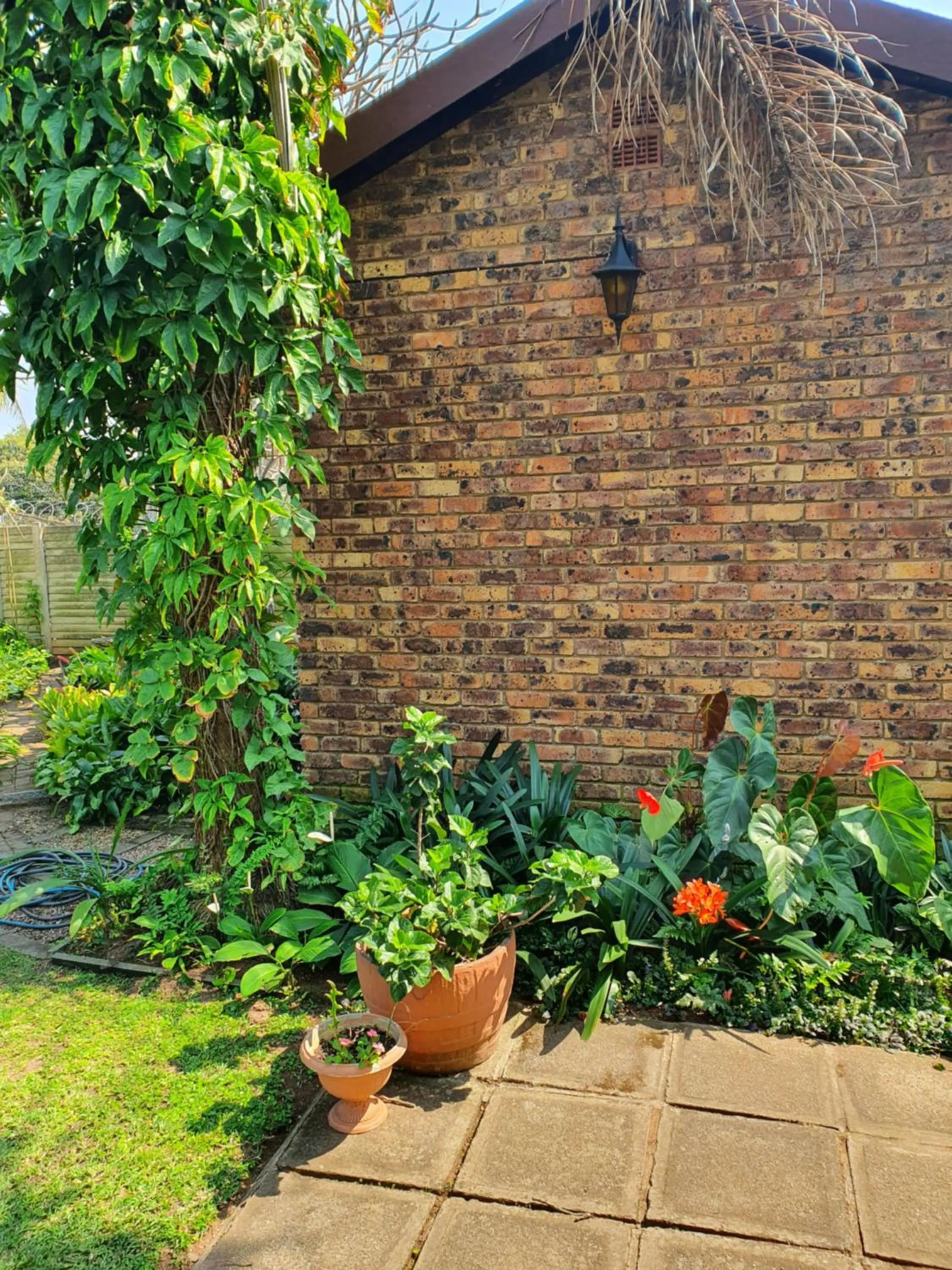 Property building in Weekend Vikings