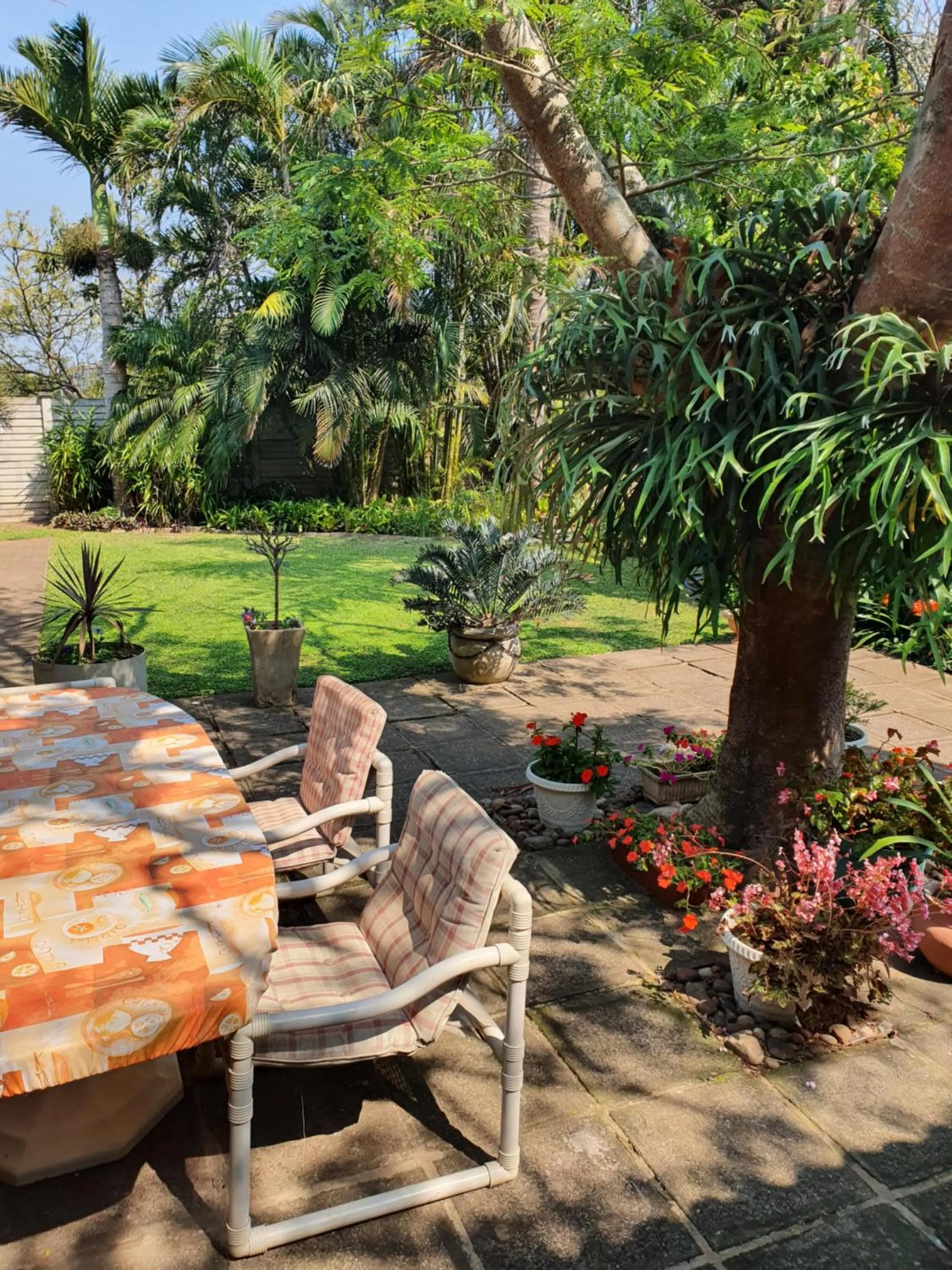 Patio in Weekend Vikings