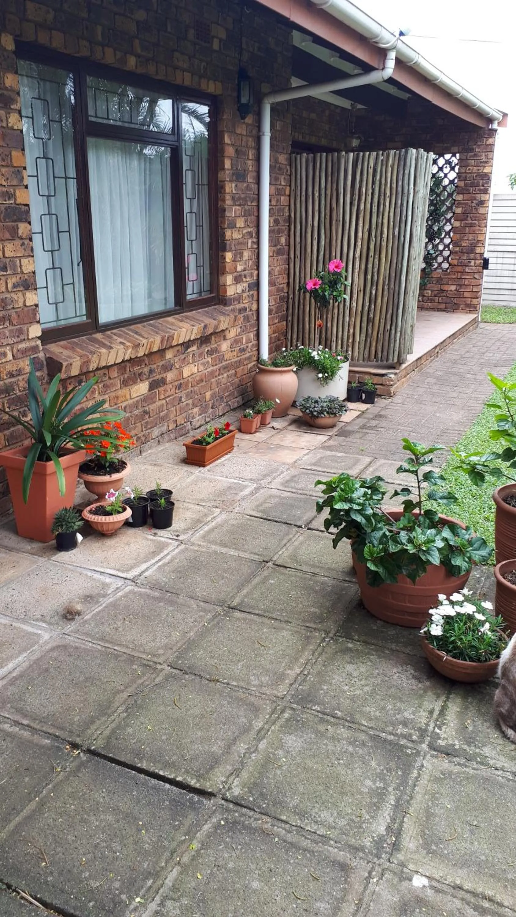 Patio in Weekend Vikings