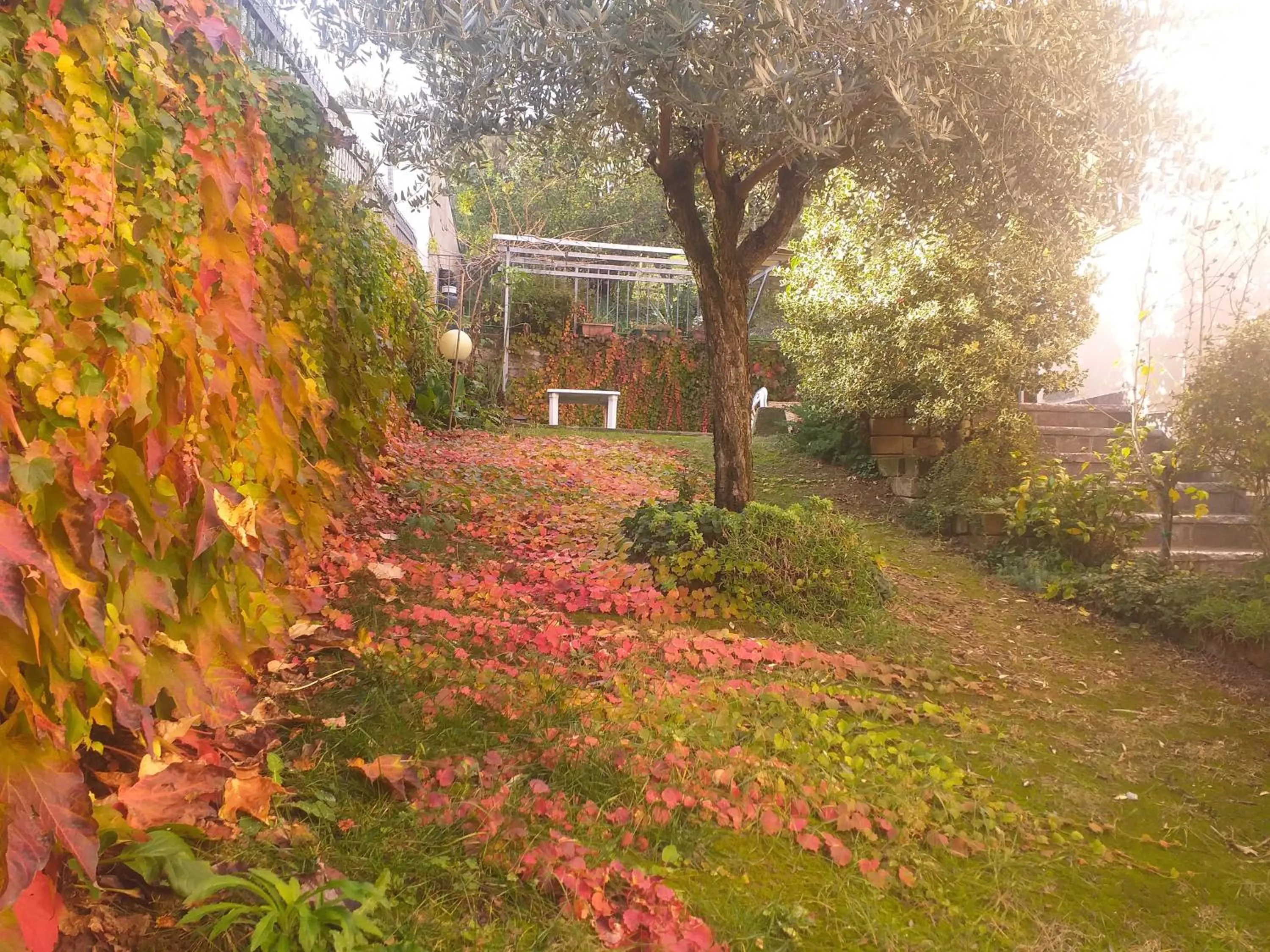 Garden in B&B le Villette Predappio