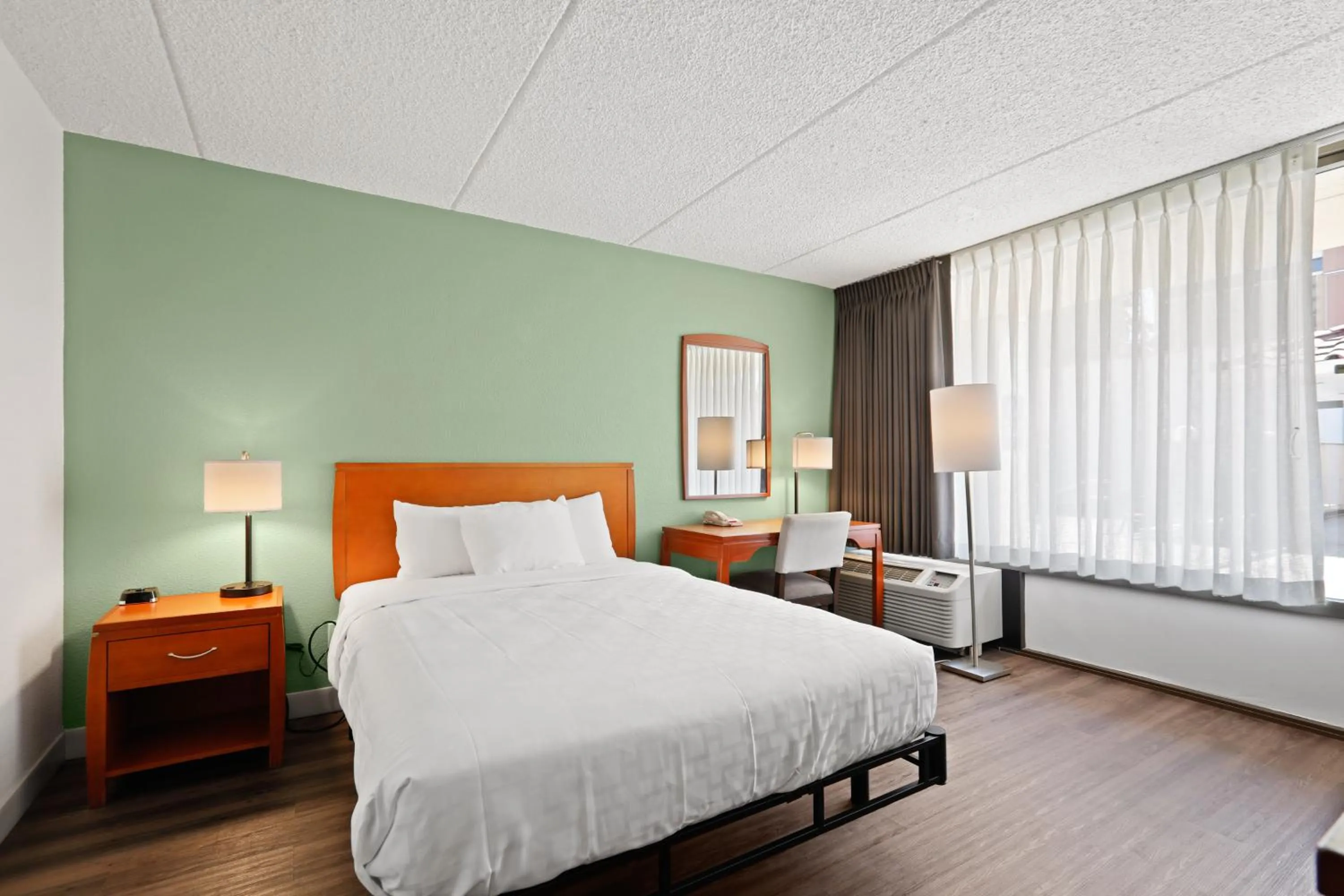 Bed in Vagabond Inn Executive Old Town