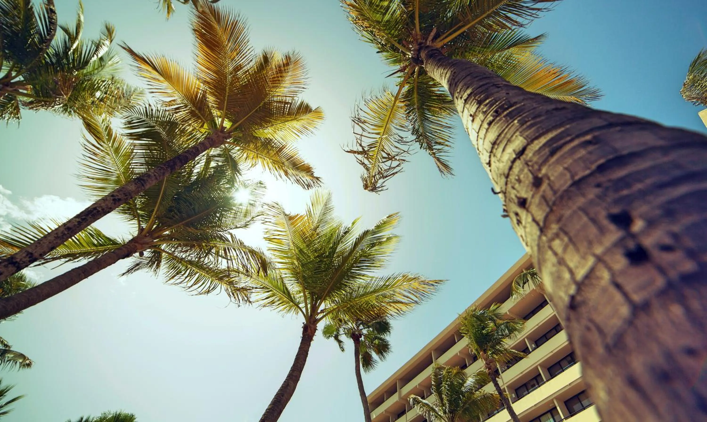 Other in Barceló Aruba - All Inclusive