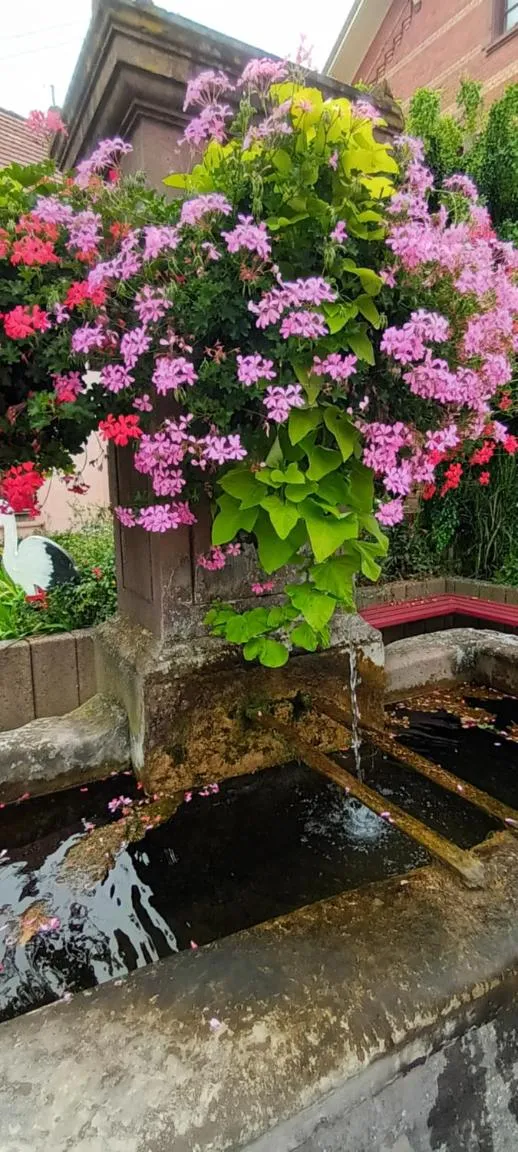 Other in Au jardin de la Maison des Soeurs