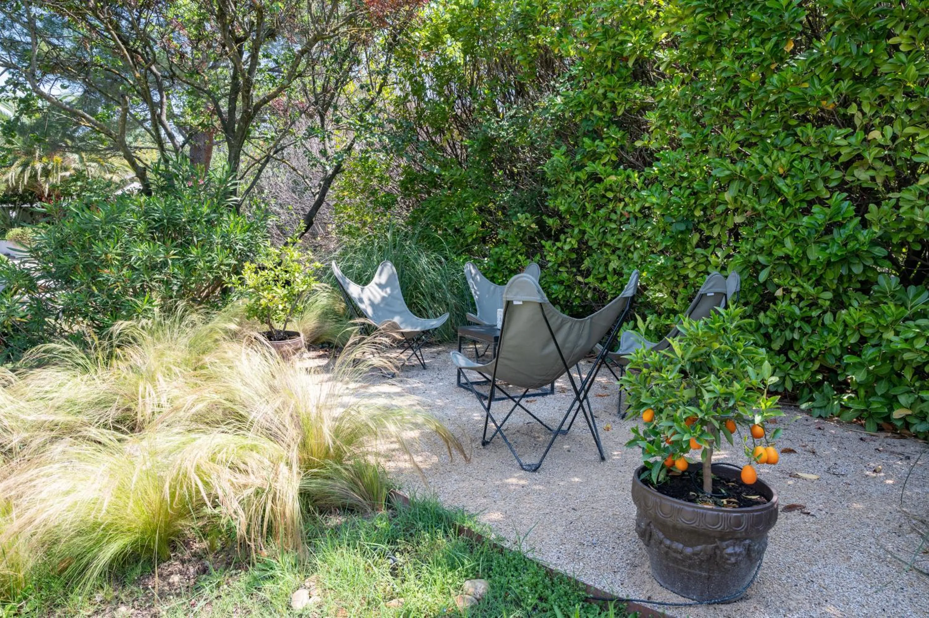 Garden in Hôtel l'Amandière