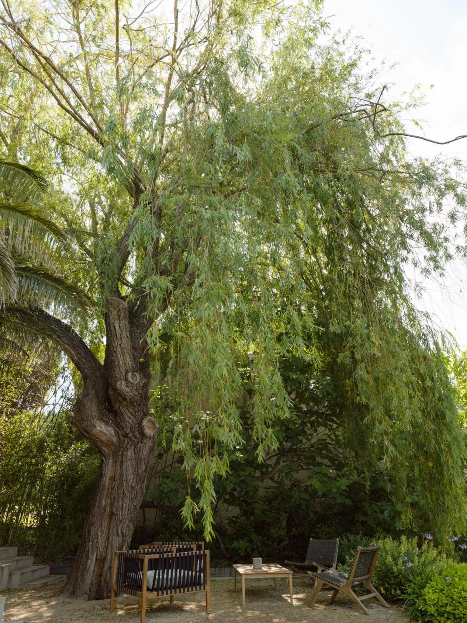 Natural landscape in Hôtel l'Amandière