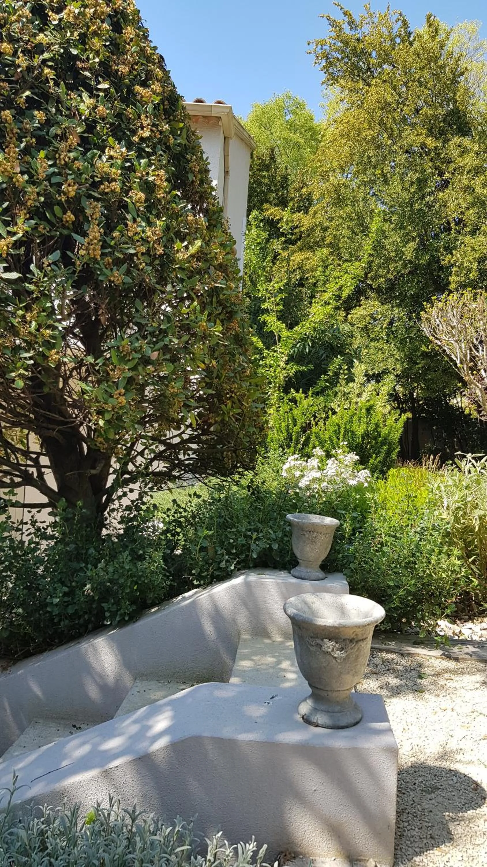 Garden in Hôtel l'Amandière