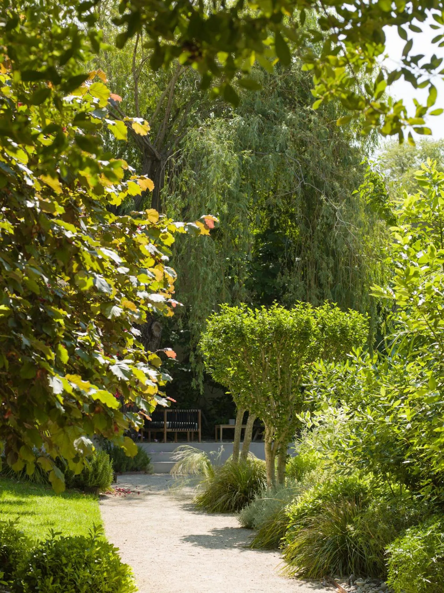 Natural landscape in Hôtel l'Amandière