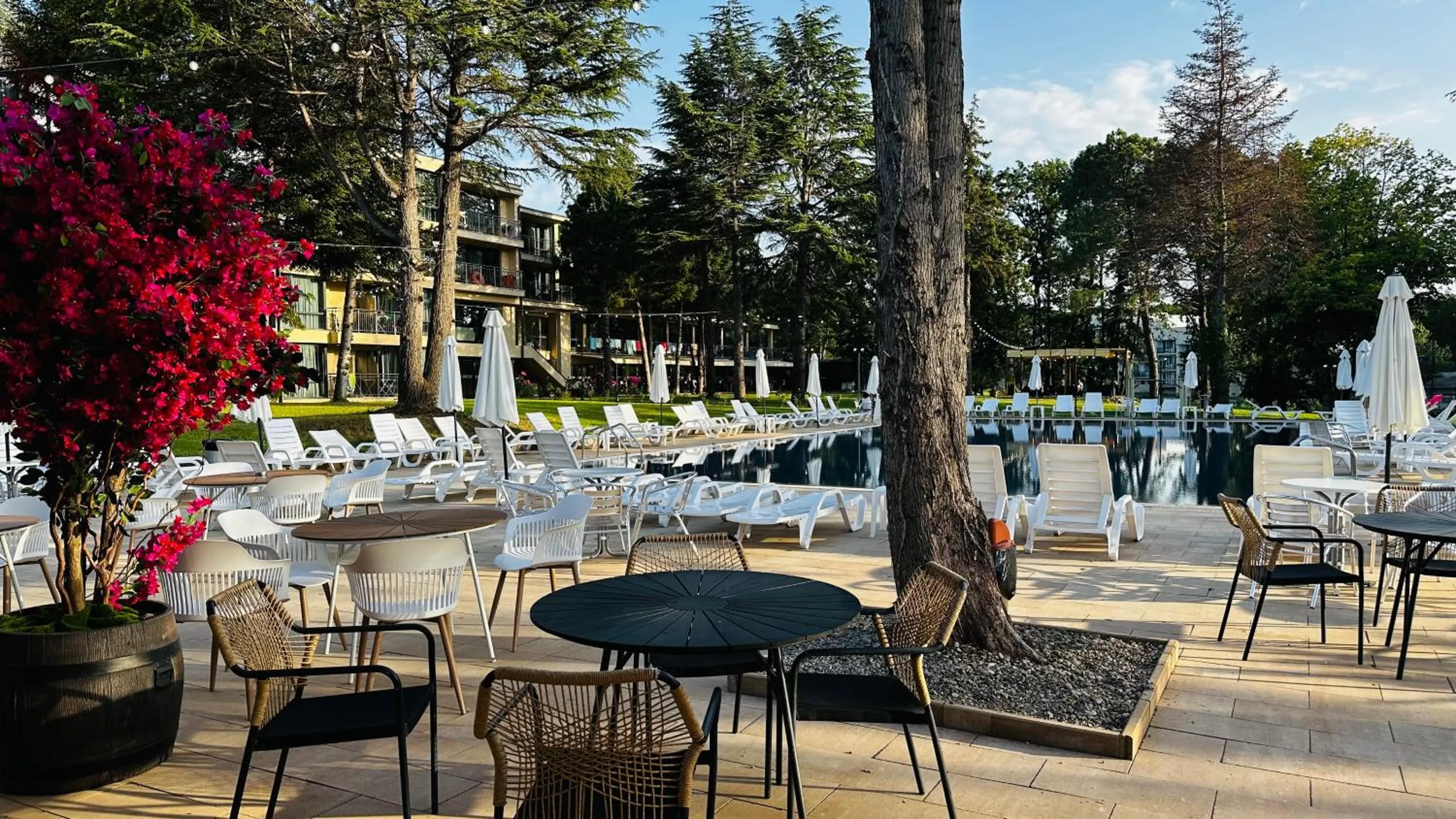Pool view in Queen Nelly Park