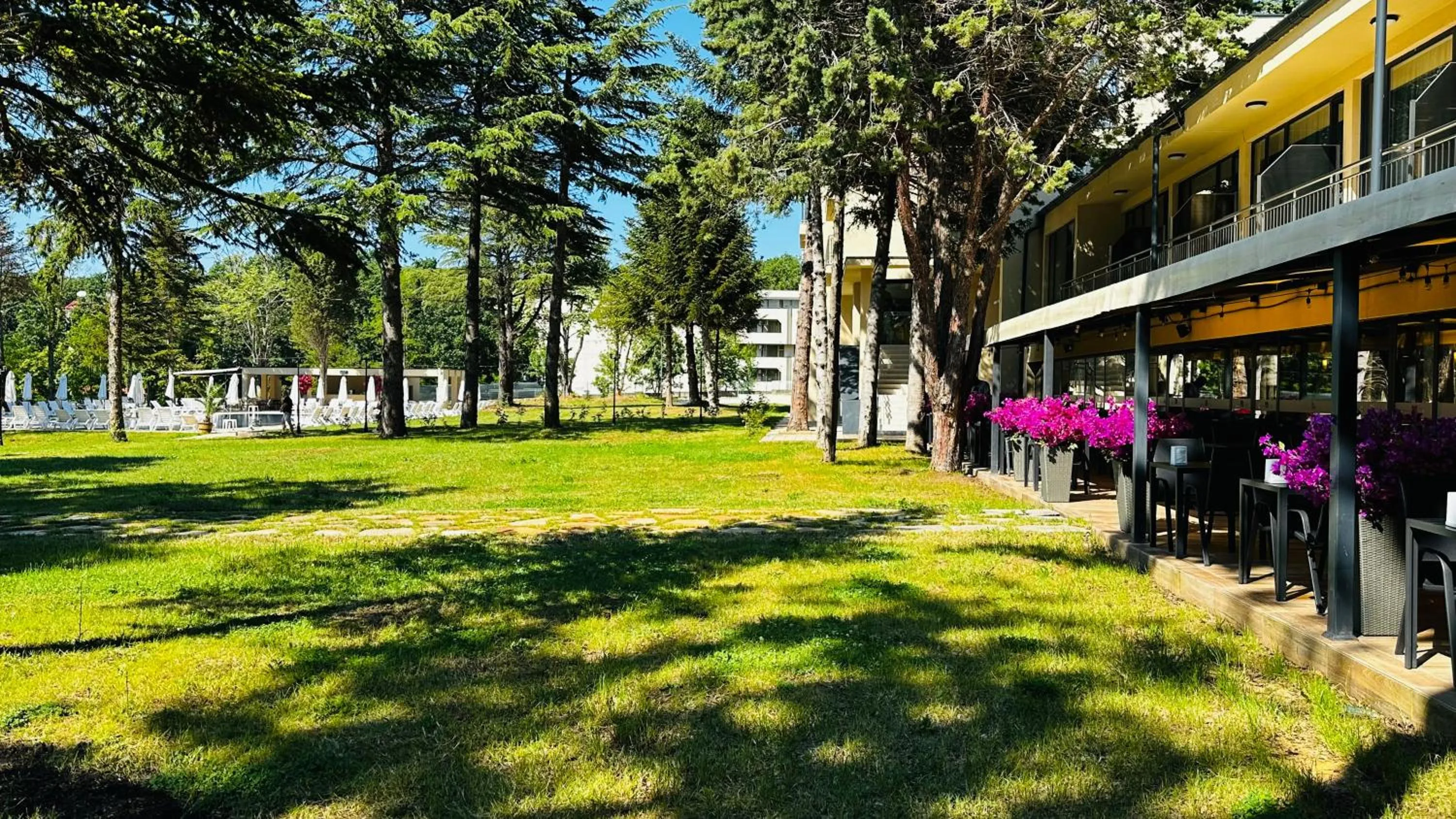 Garden in Queen Nelly Park