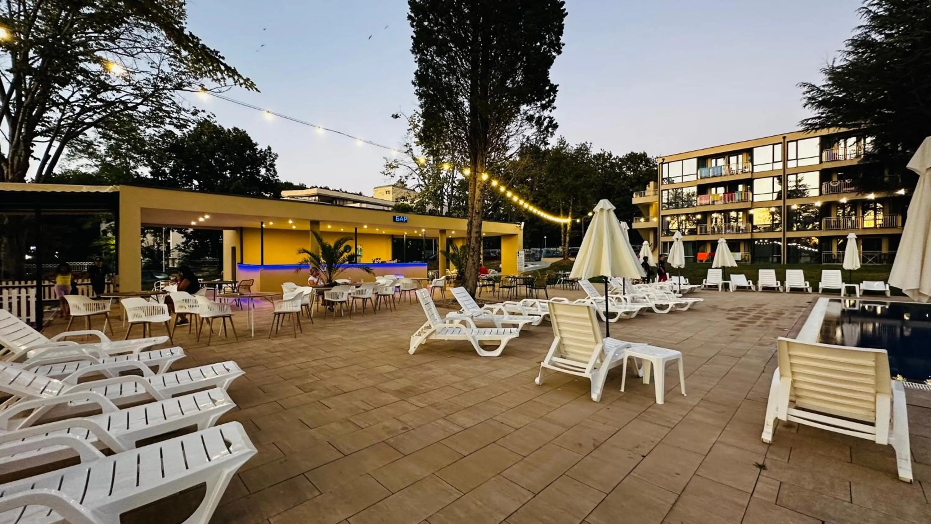 Lounge or bar in Queen Nelly Park