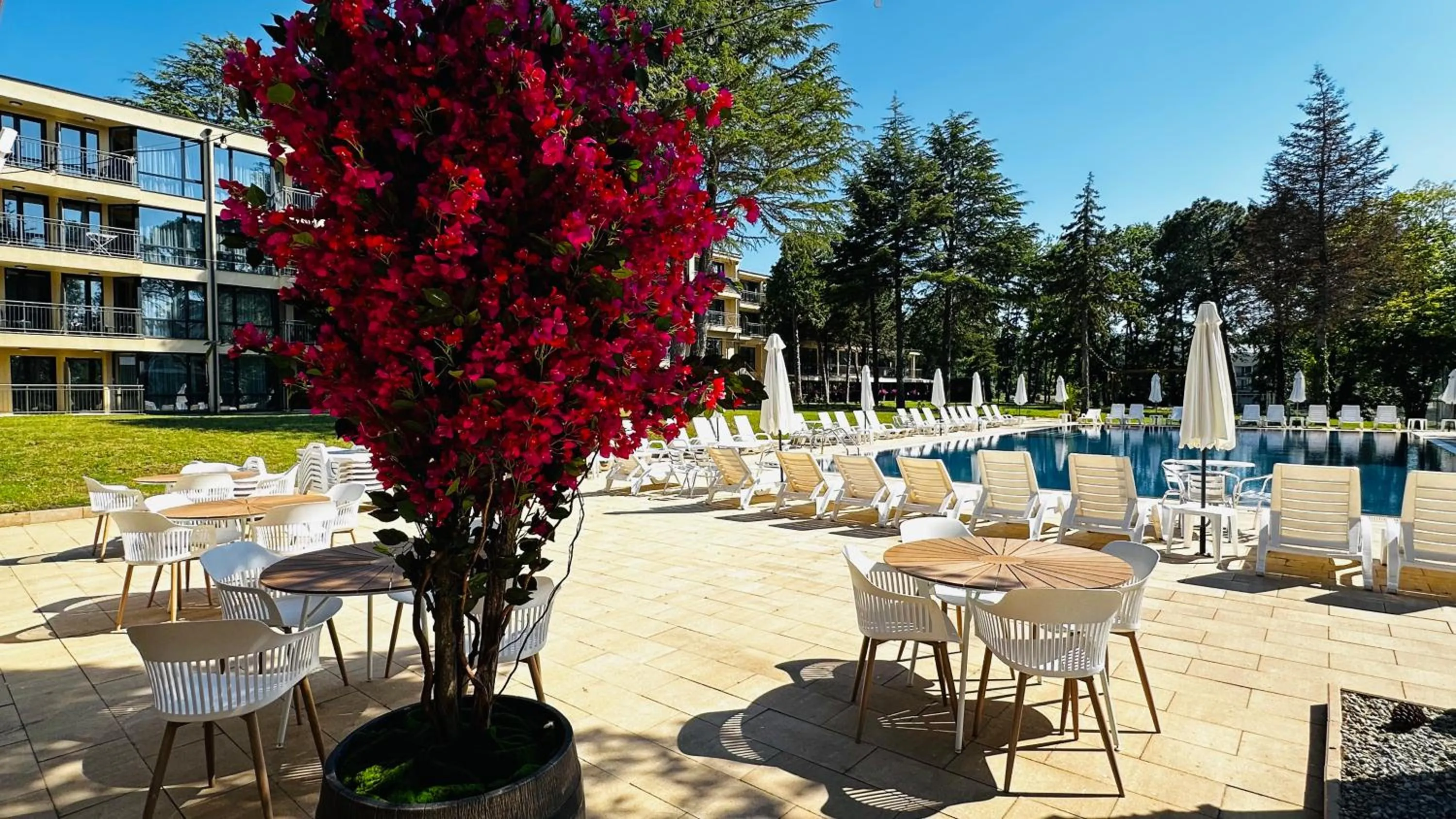 Swimming pool in Queen Nelly Park