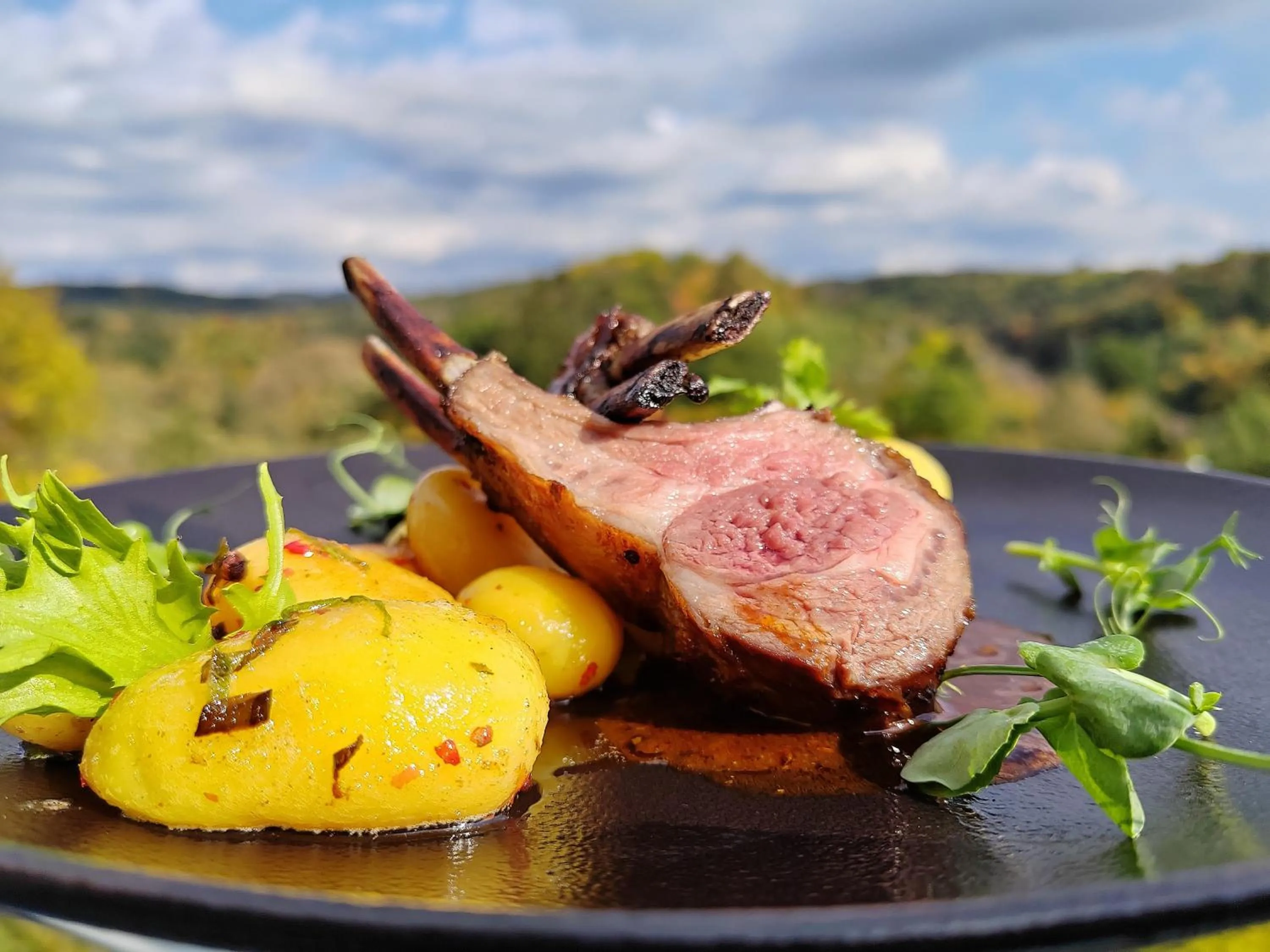 Restaurant/places to eat in Hotel Rajská zahrada