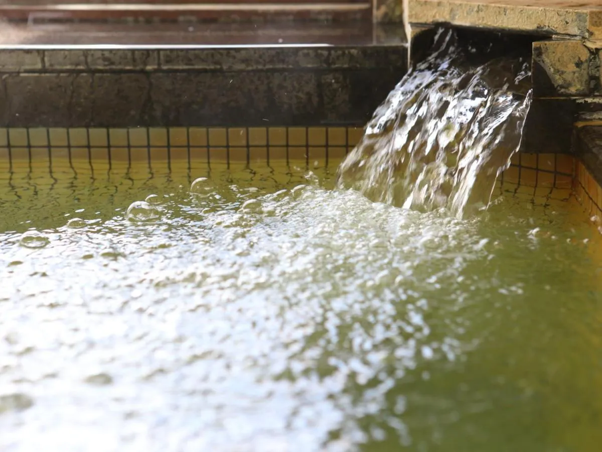 Hotel Silk Inn Madarao