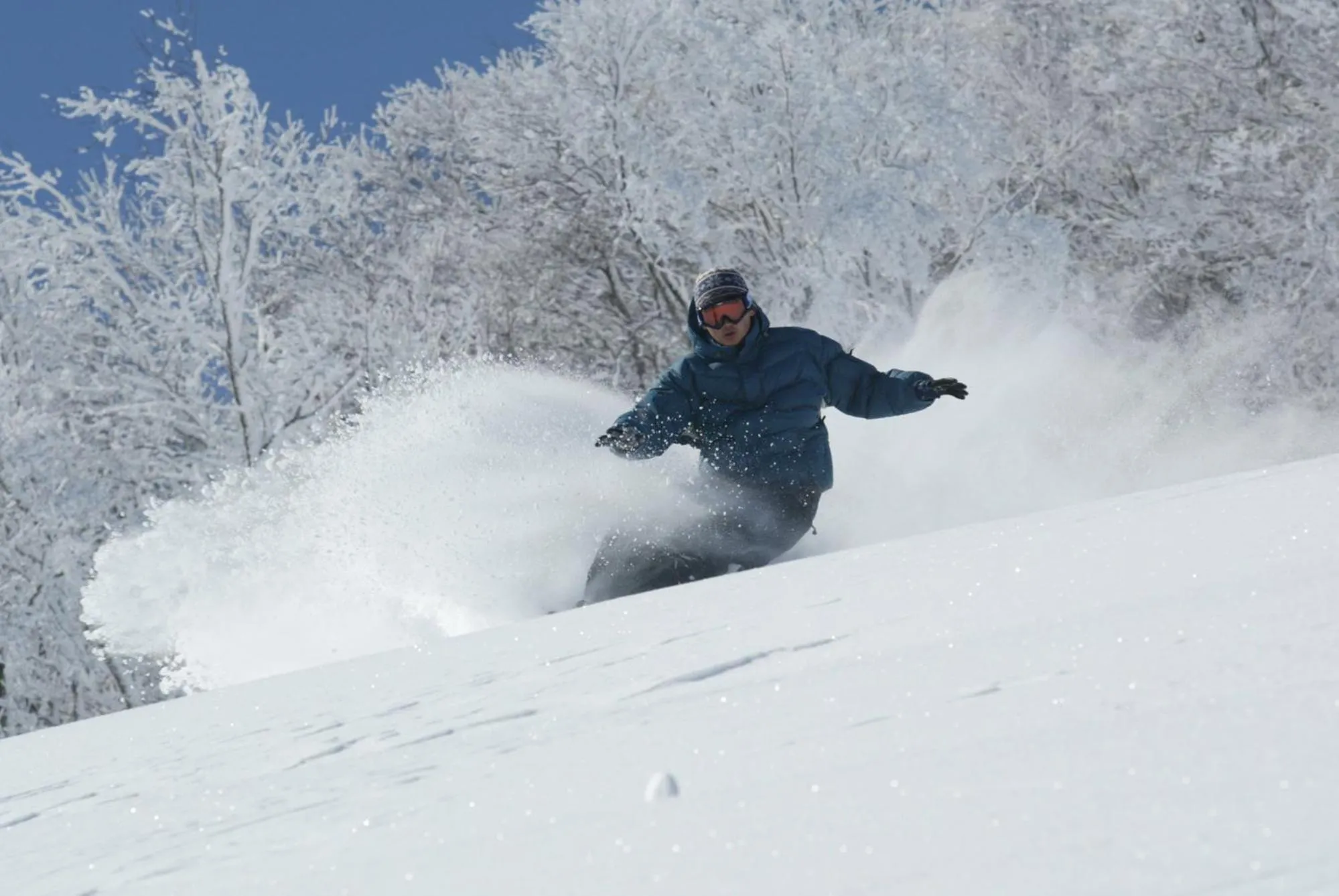 People in Hotel Silk Inn Madarao
