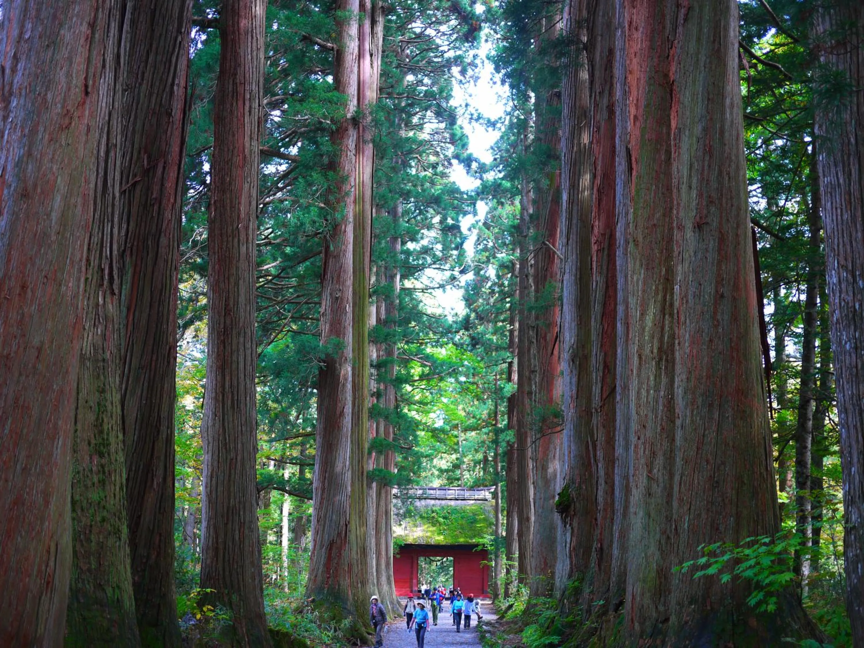 Nearby landmark in Hotel Silk Inn Madarao