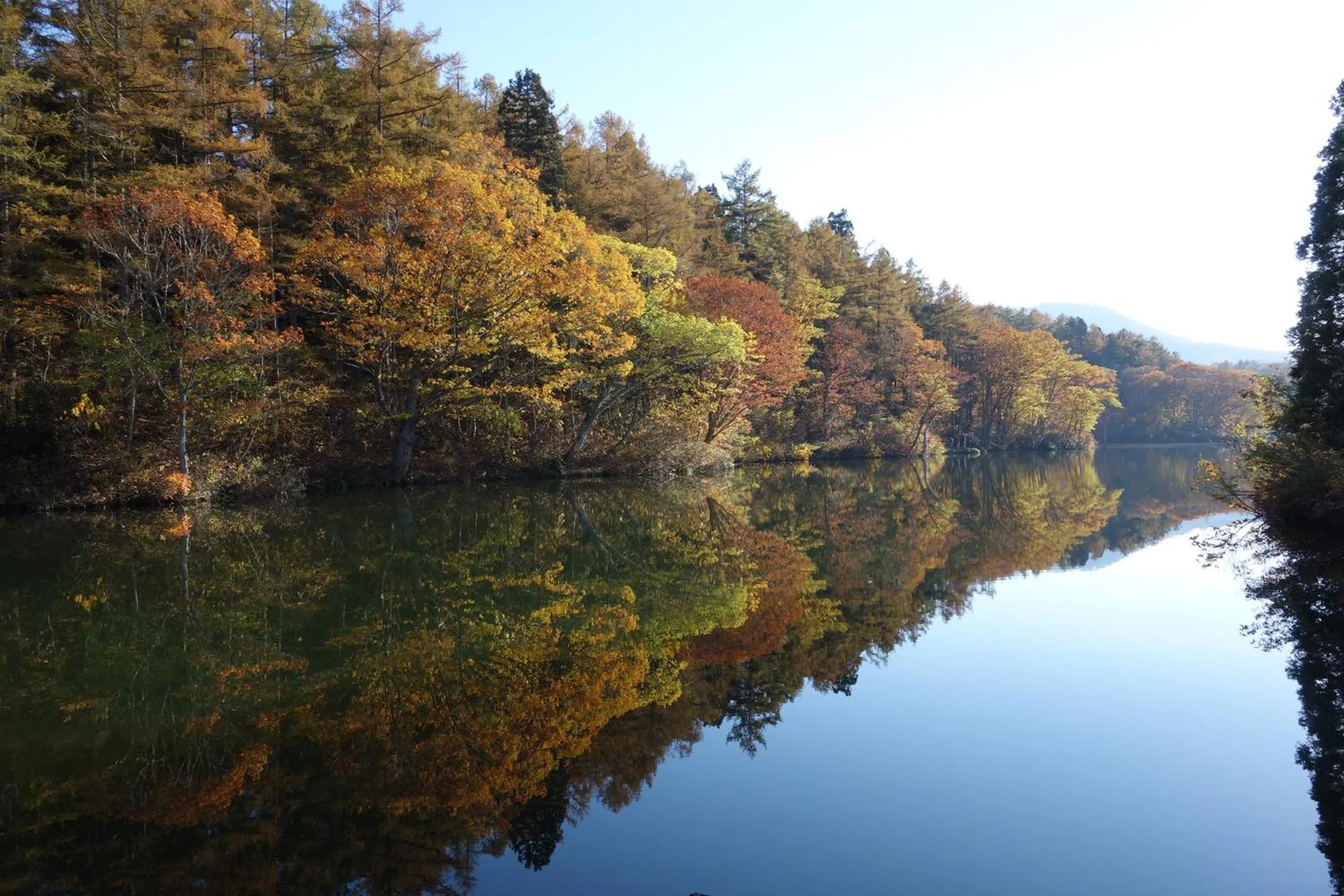 Nearby landmark in Hotel Silk Inn Madarao