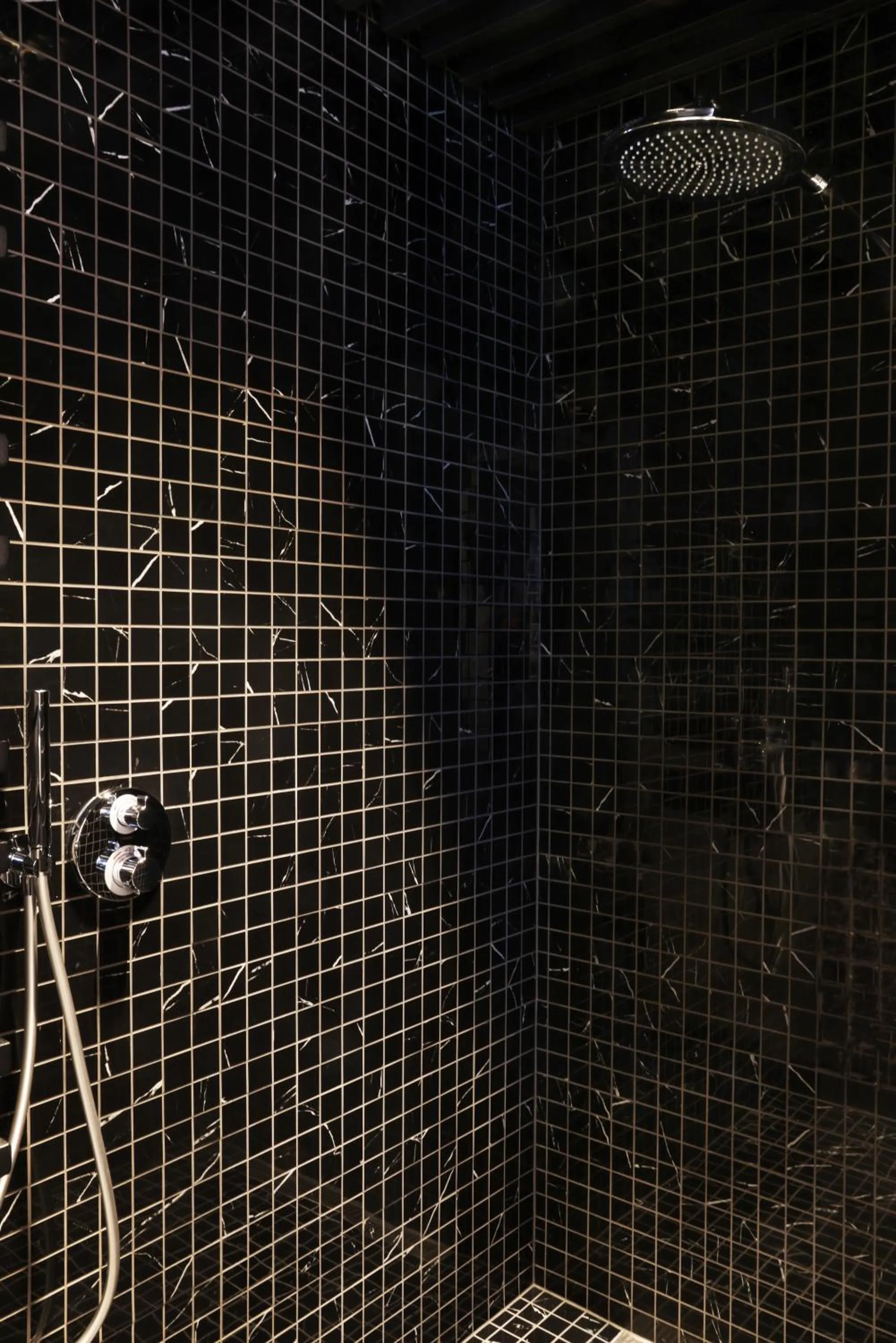 Shower in Hotel Reykjavík Saga