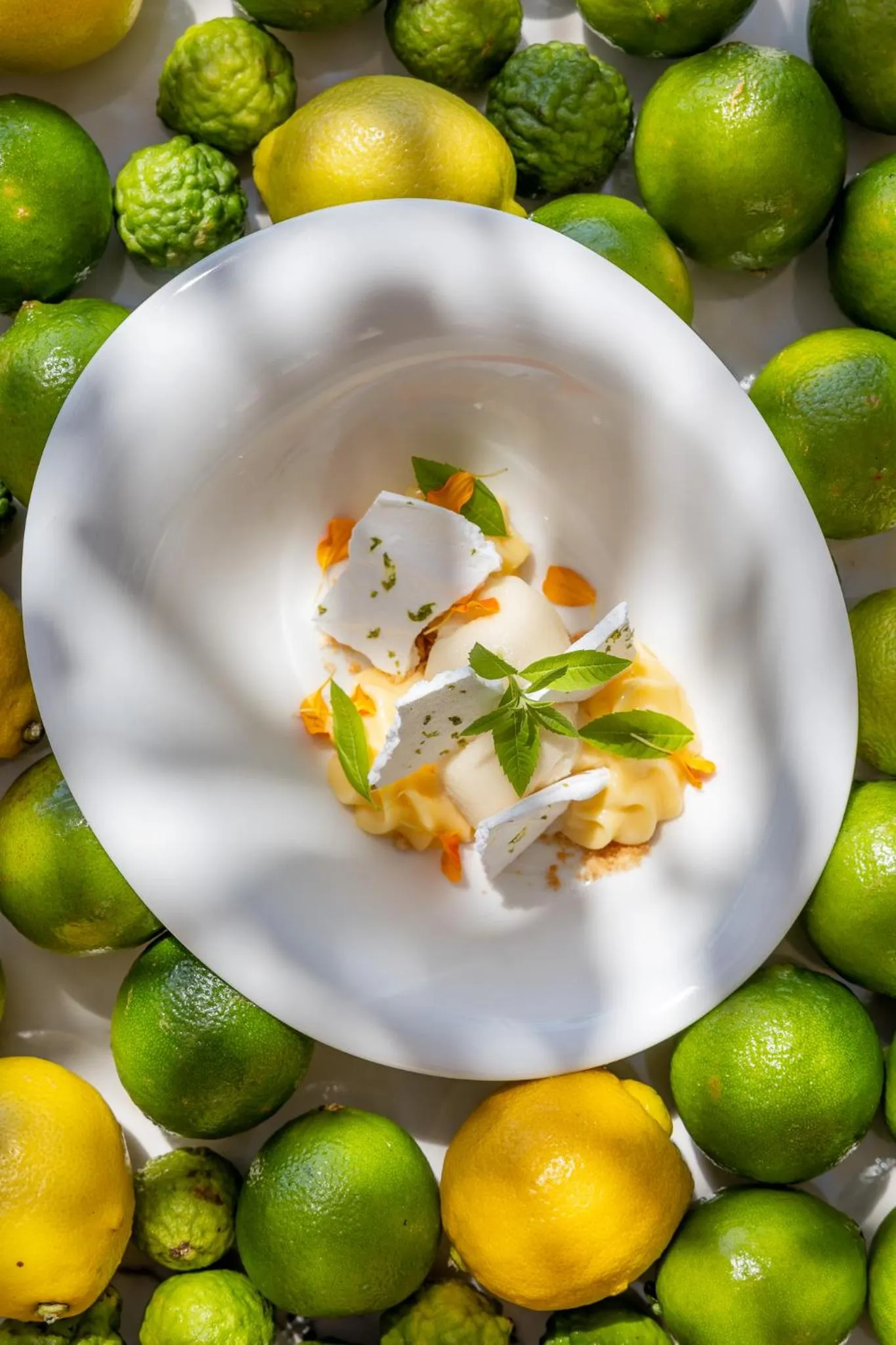 Restaurant/places to eat in Hotel Royalmar - Nouveau propriétaire