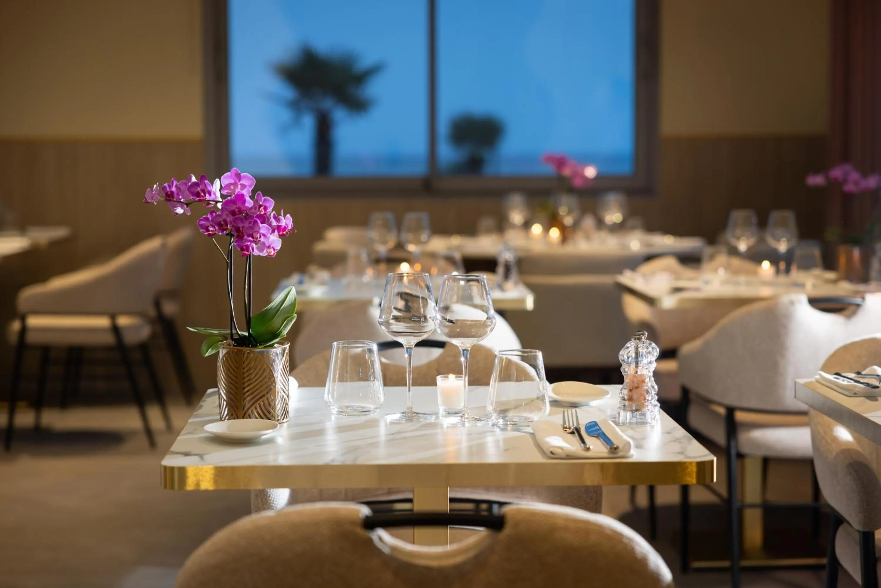 Restaurant/places to eat in Hotel Royalmar - Nouveau propriétaire